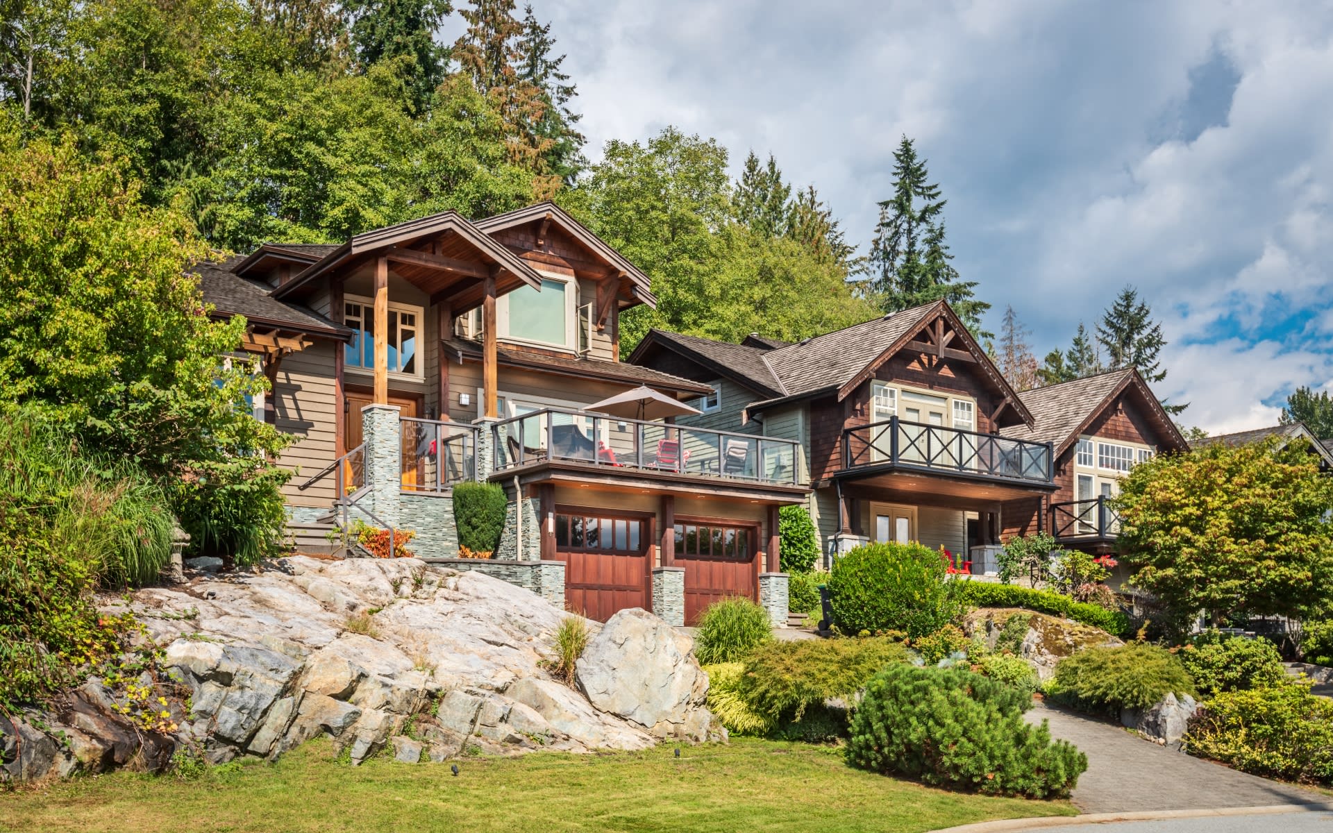 Dana Williams Mill Valley Real Estate Agent