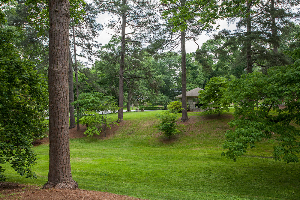 Ansley Park Real Estate Community Guide Gipson & Co.