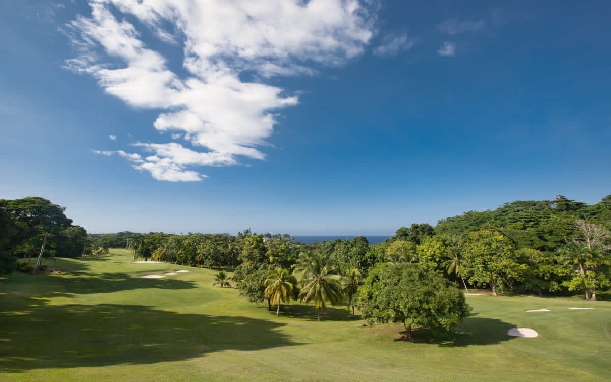 Montego Bay, Jamaica | Executive/Entrepreneur Client