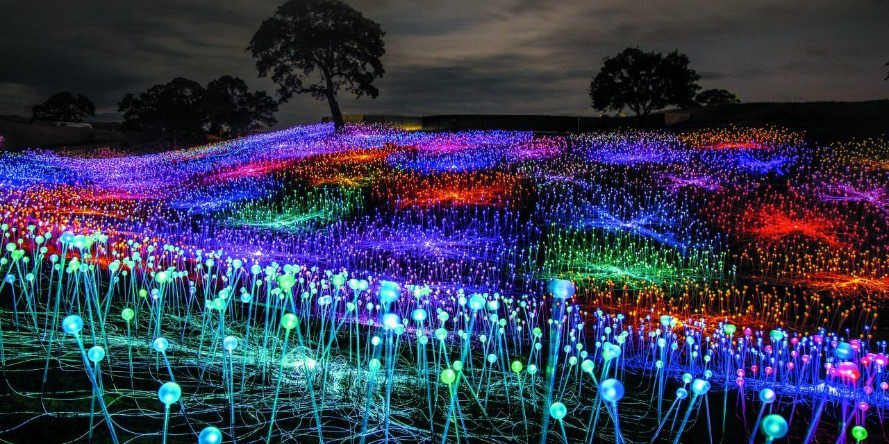 FIELD OF LIGHT AT SENSORIO