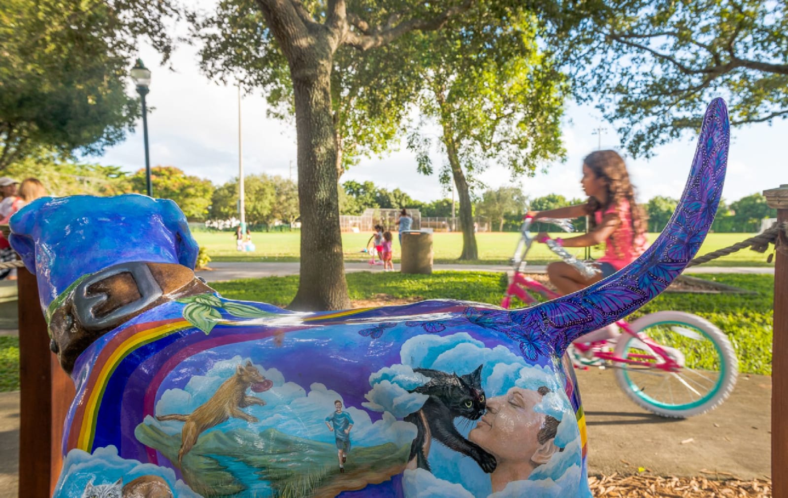 Pinecrest Real Estate | Jane Bark Barrellier