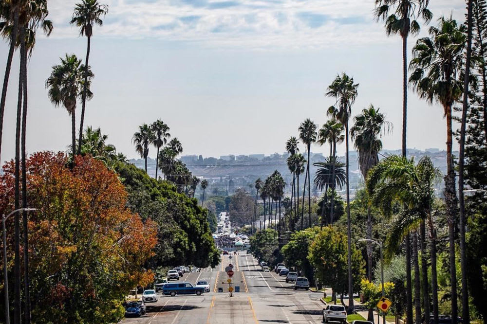 Why We Love & Live in Mar Vista The Davis + Burns Team