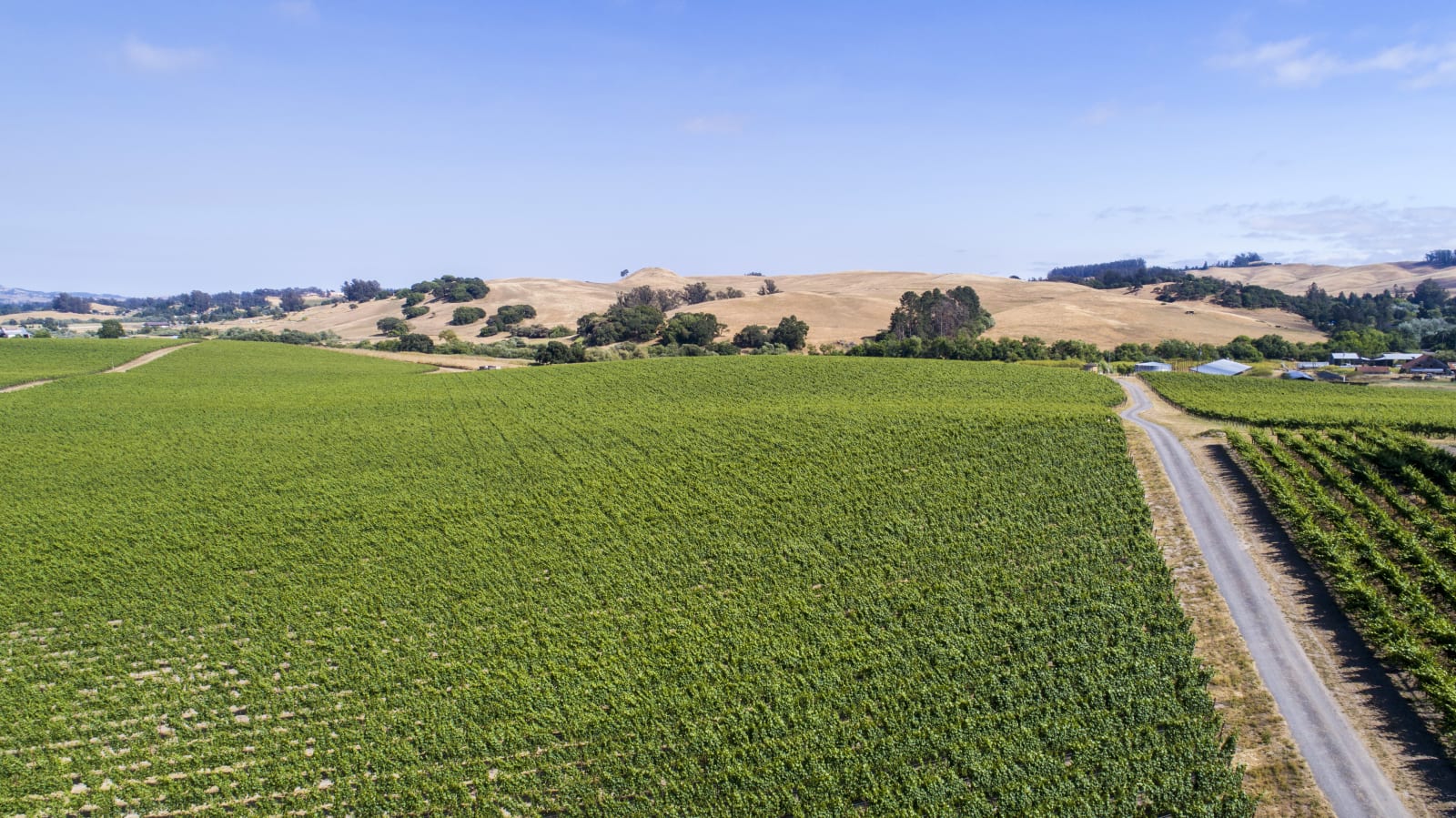 Sebastopol Real Estate Jeff and Tracey Schween