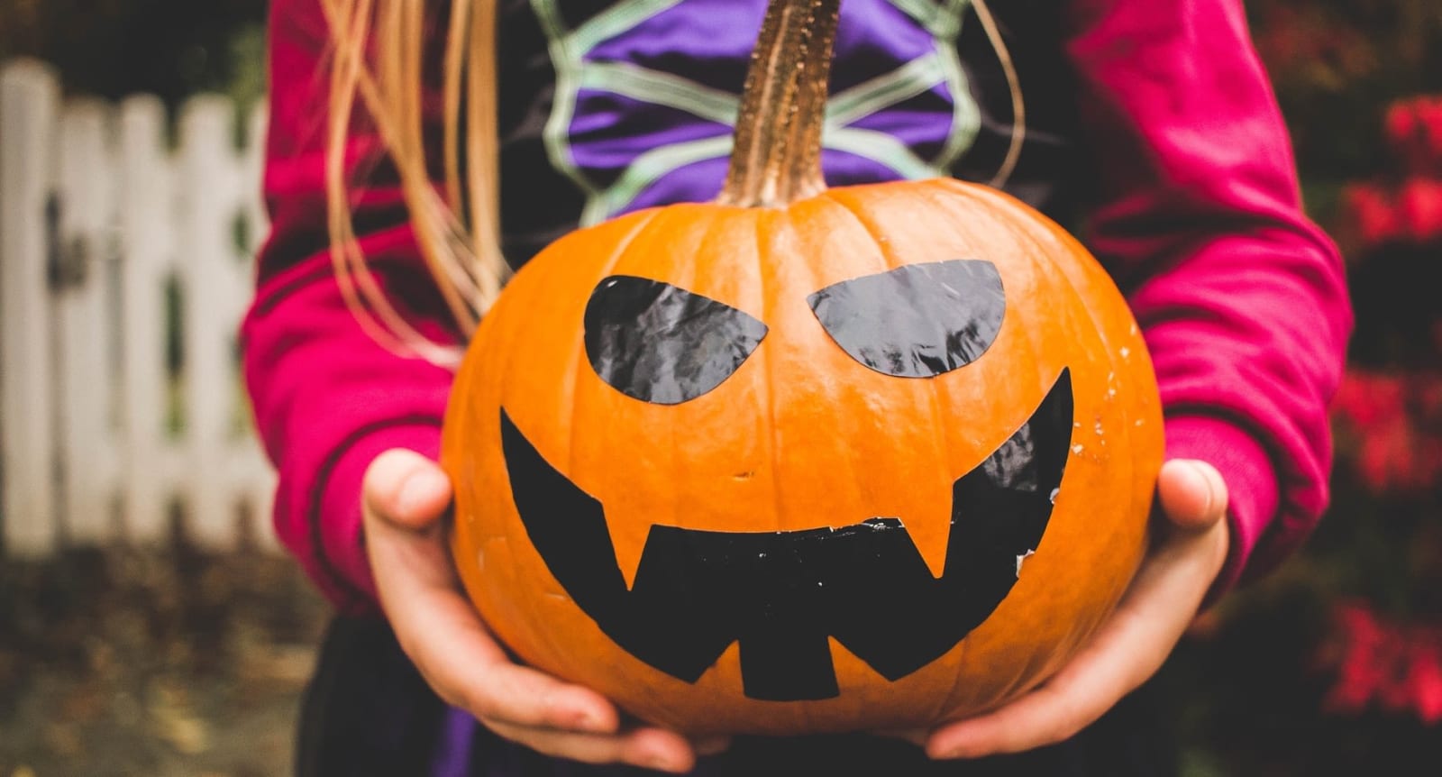 Weekend Event Guide October 23rd to 25th
