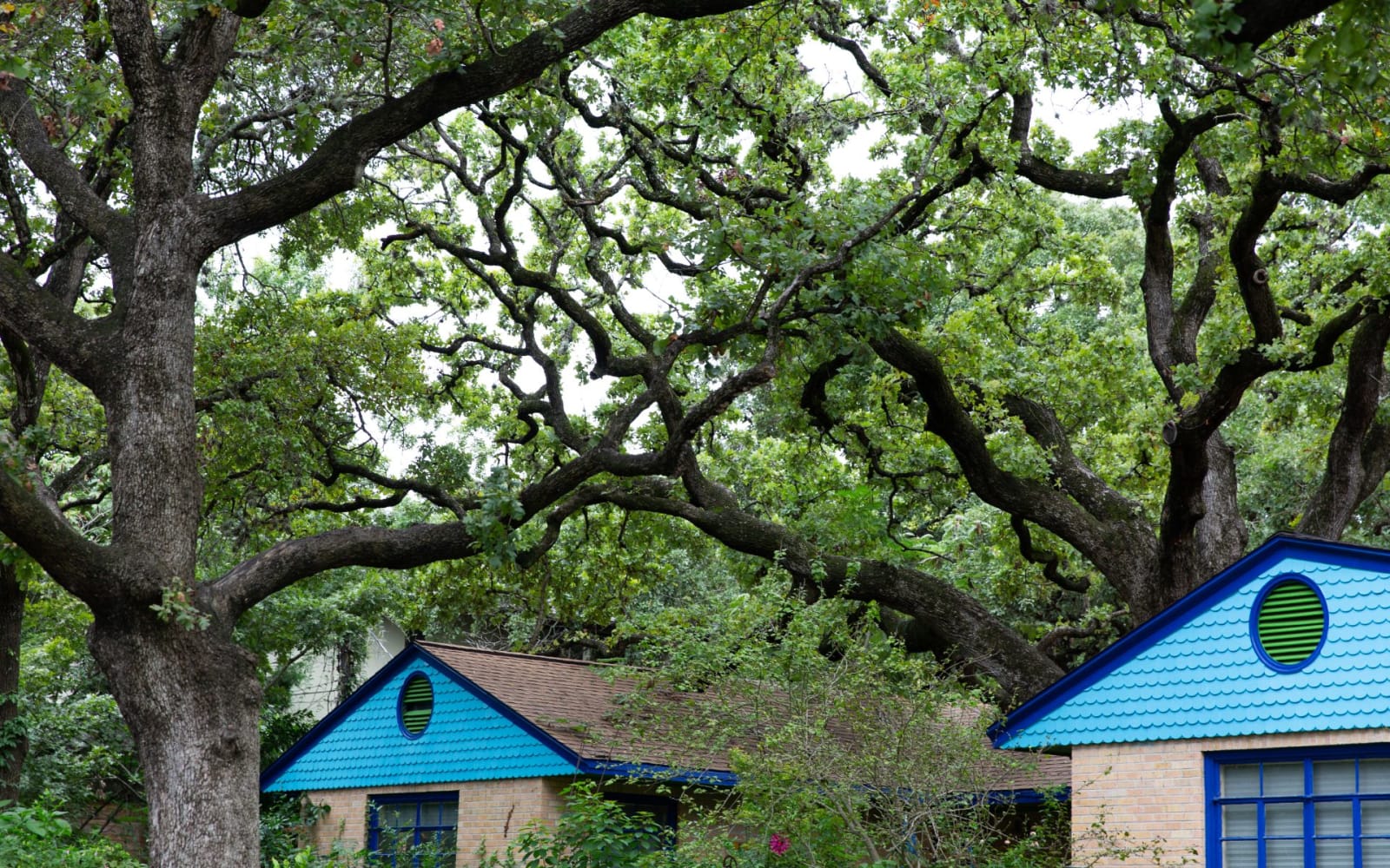 Tarrytown Real Estate Legacy Real Estate Group