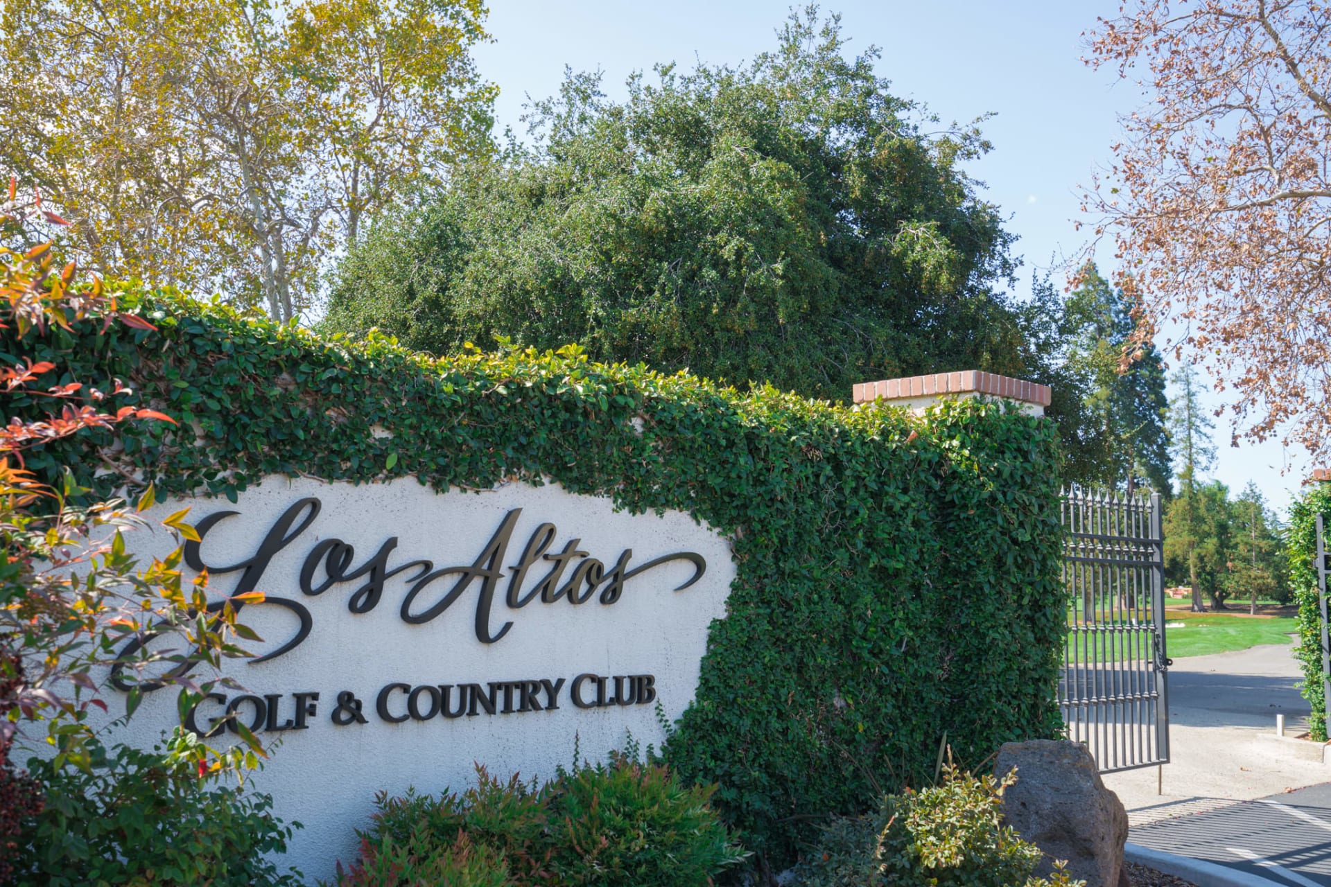 Los Altos Real Estate Marylene Notarianni