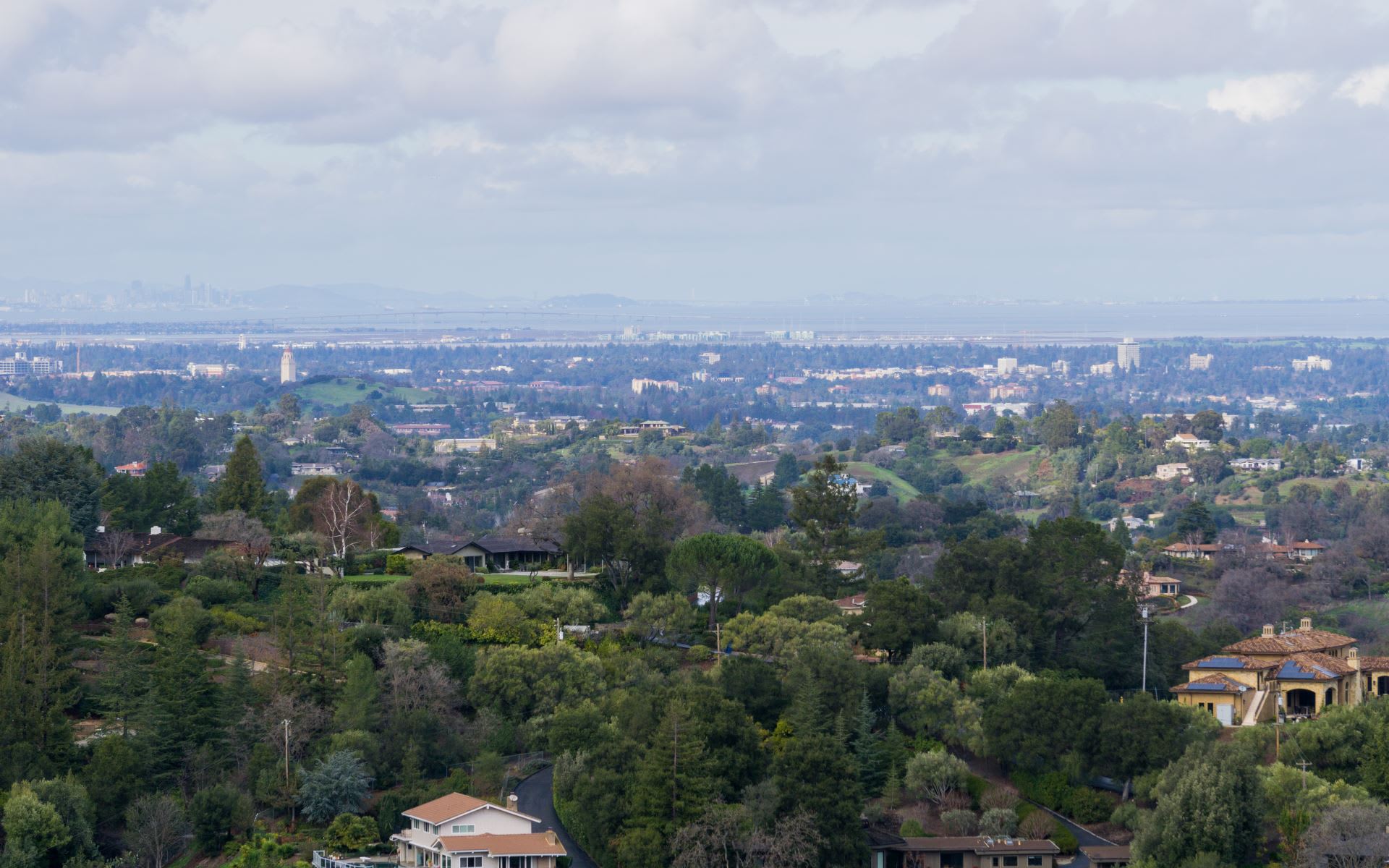 Los Altos Community Guide Lynn North