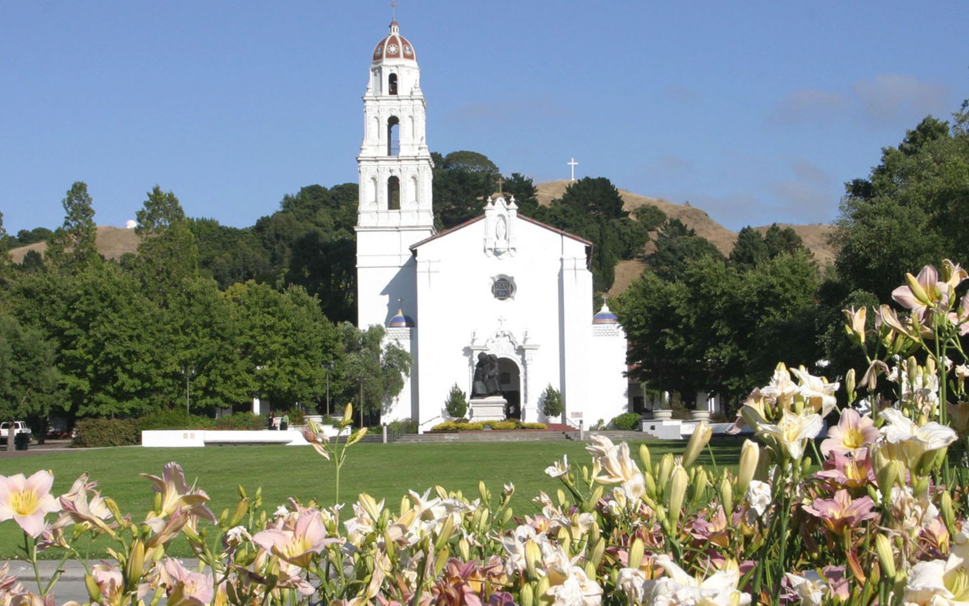 Moraga Community Guide Dana Reedy