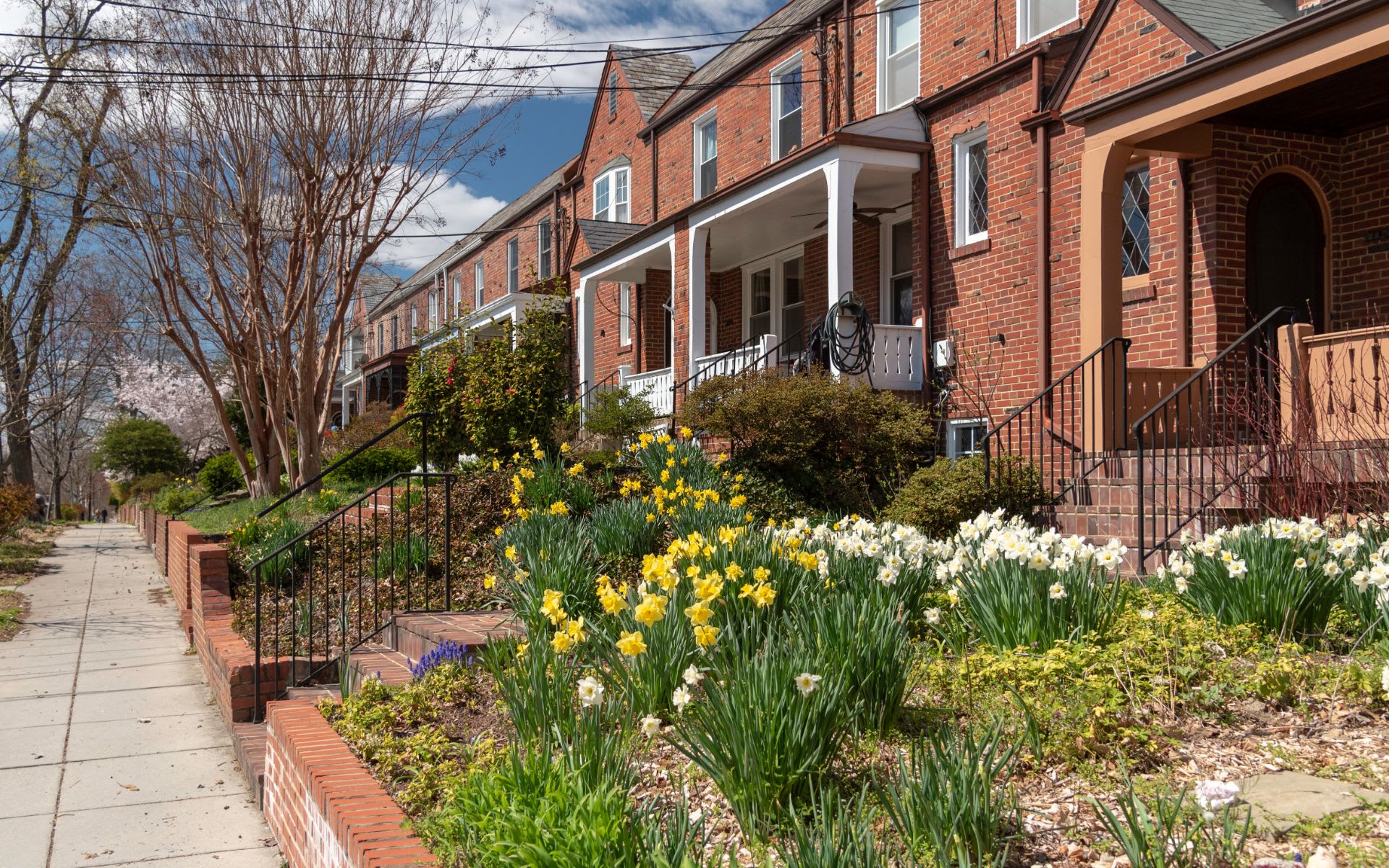 Glover Park Community Guide Rina Kunk