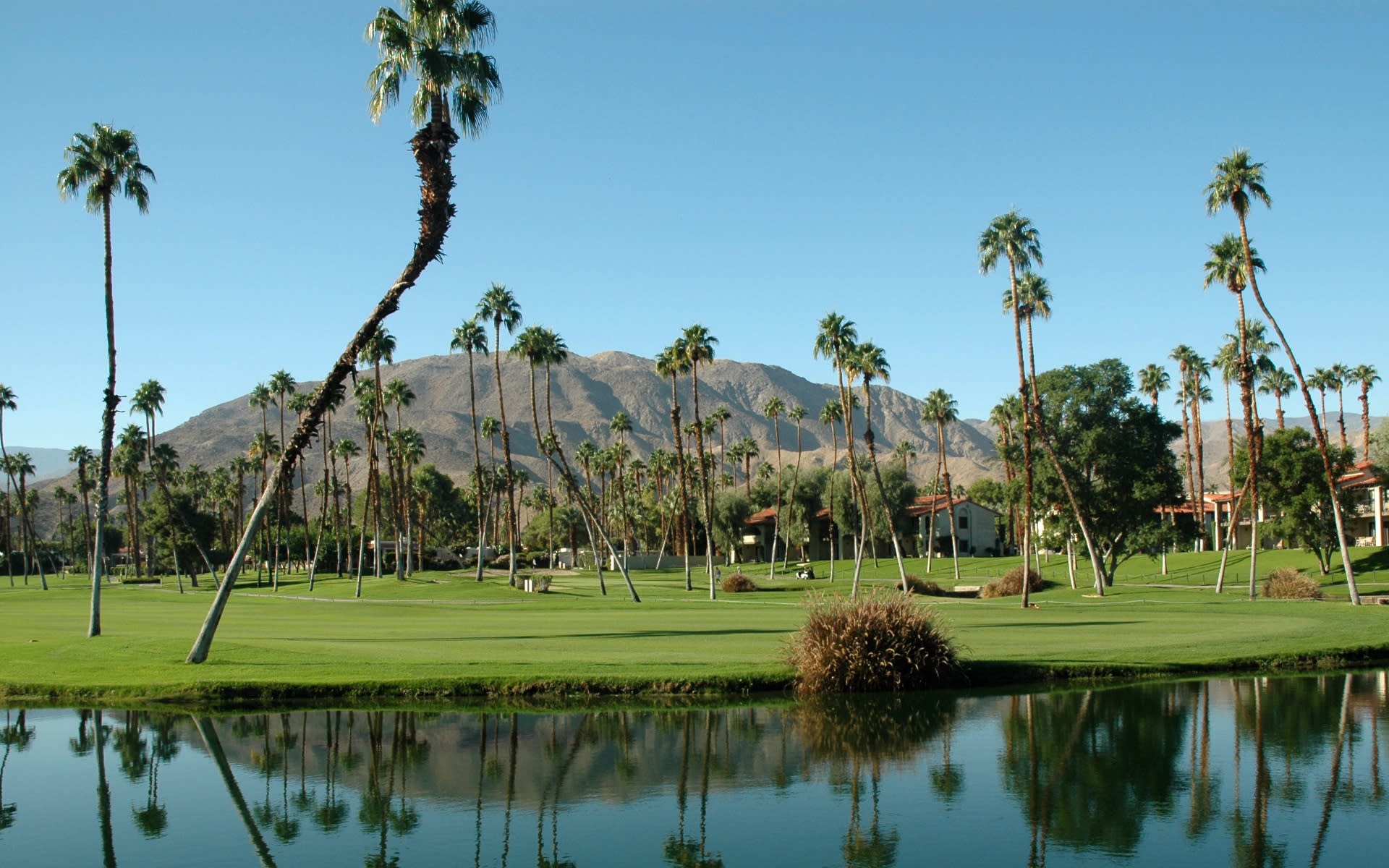 Communities Halum Real Estate Group Palm Desert Real Estate