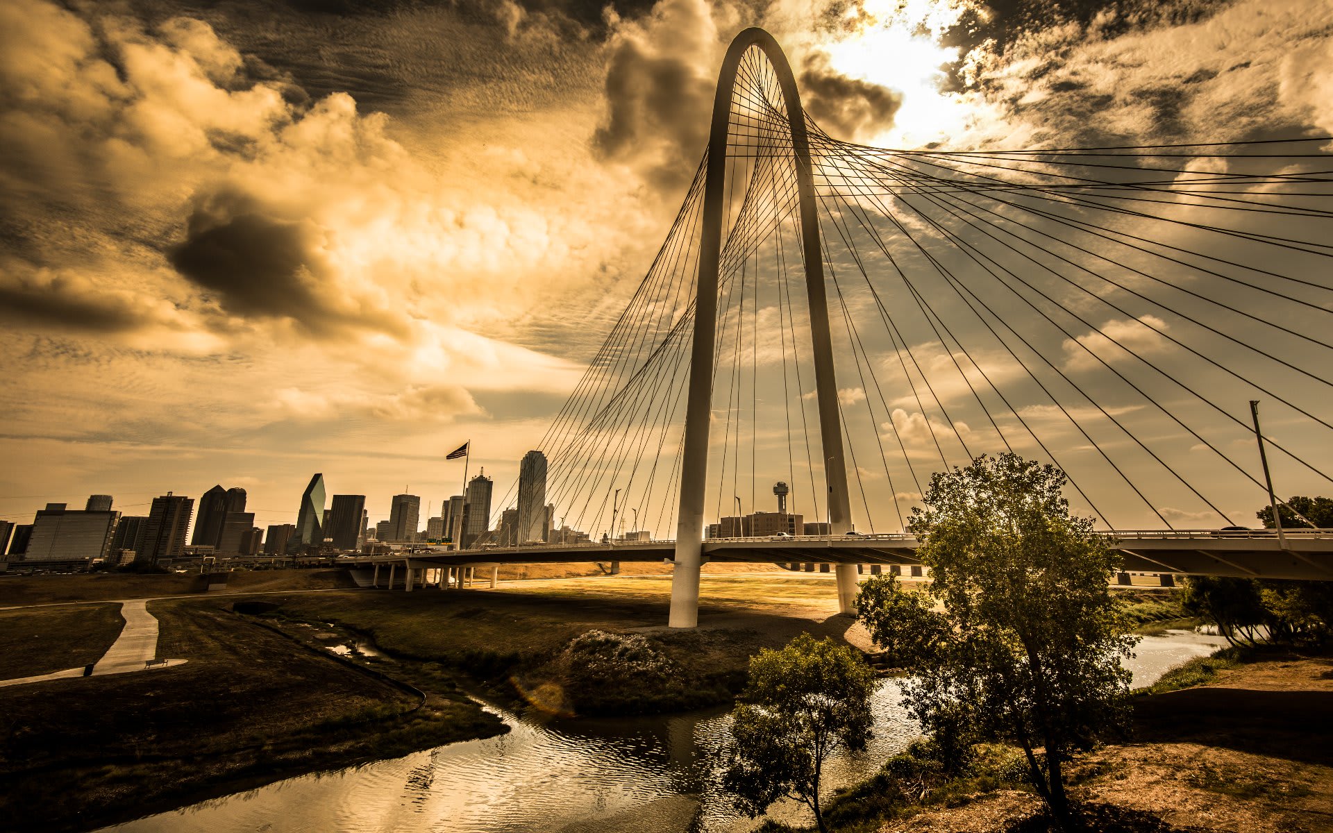 The Rosen Group Dallas Real Estate Team