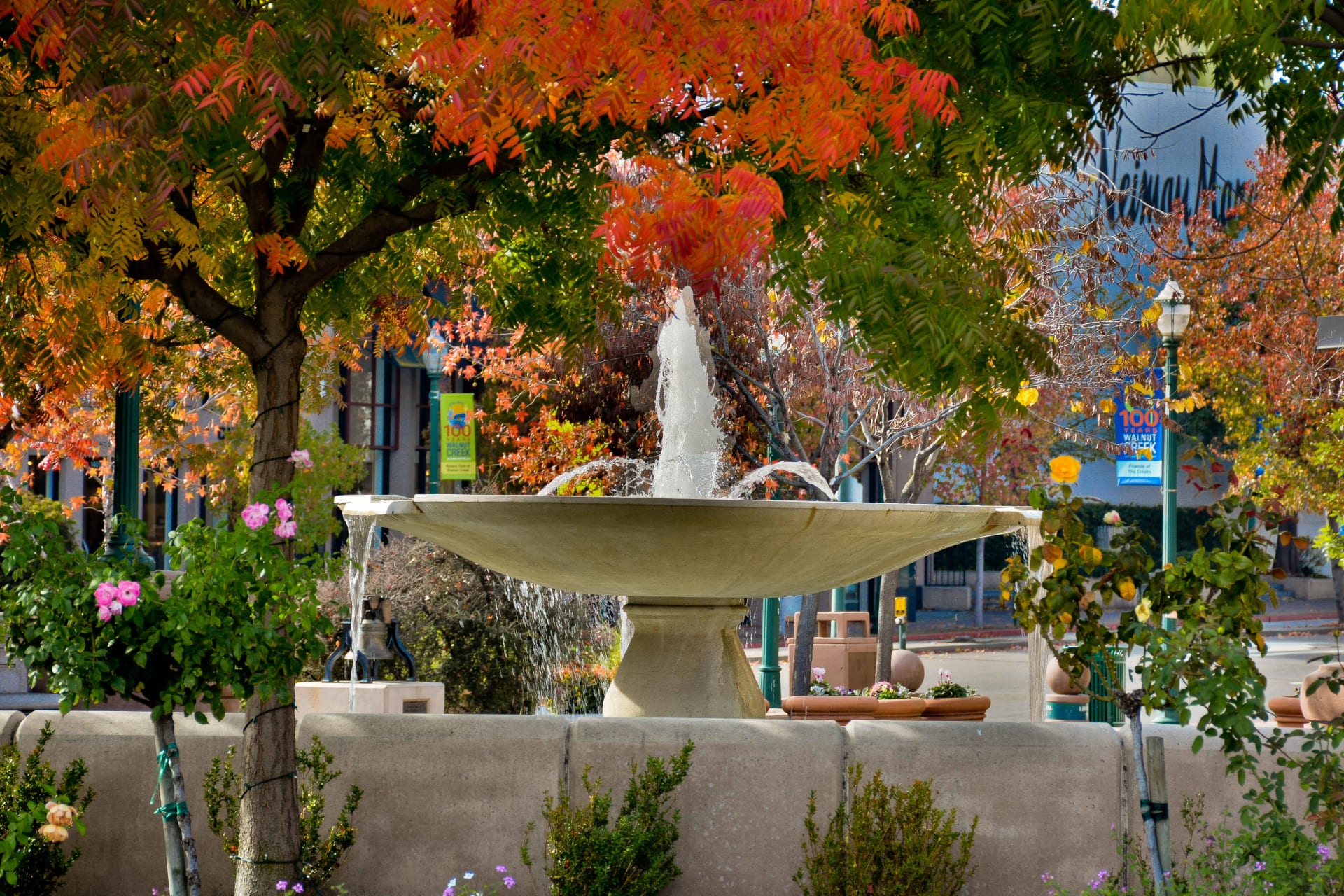 Walnut Creek Real Estate Community Guide Deb Rebhahn