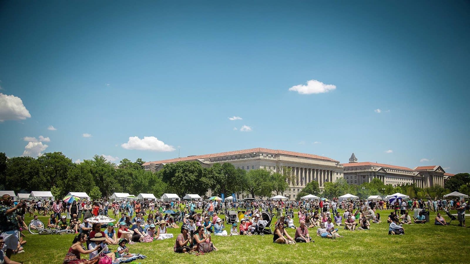 How to Enjoy DC’s 2019 Around the World Cultural Food Festival | Rina Kunk