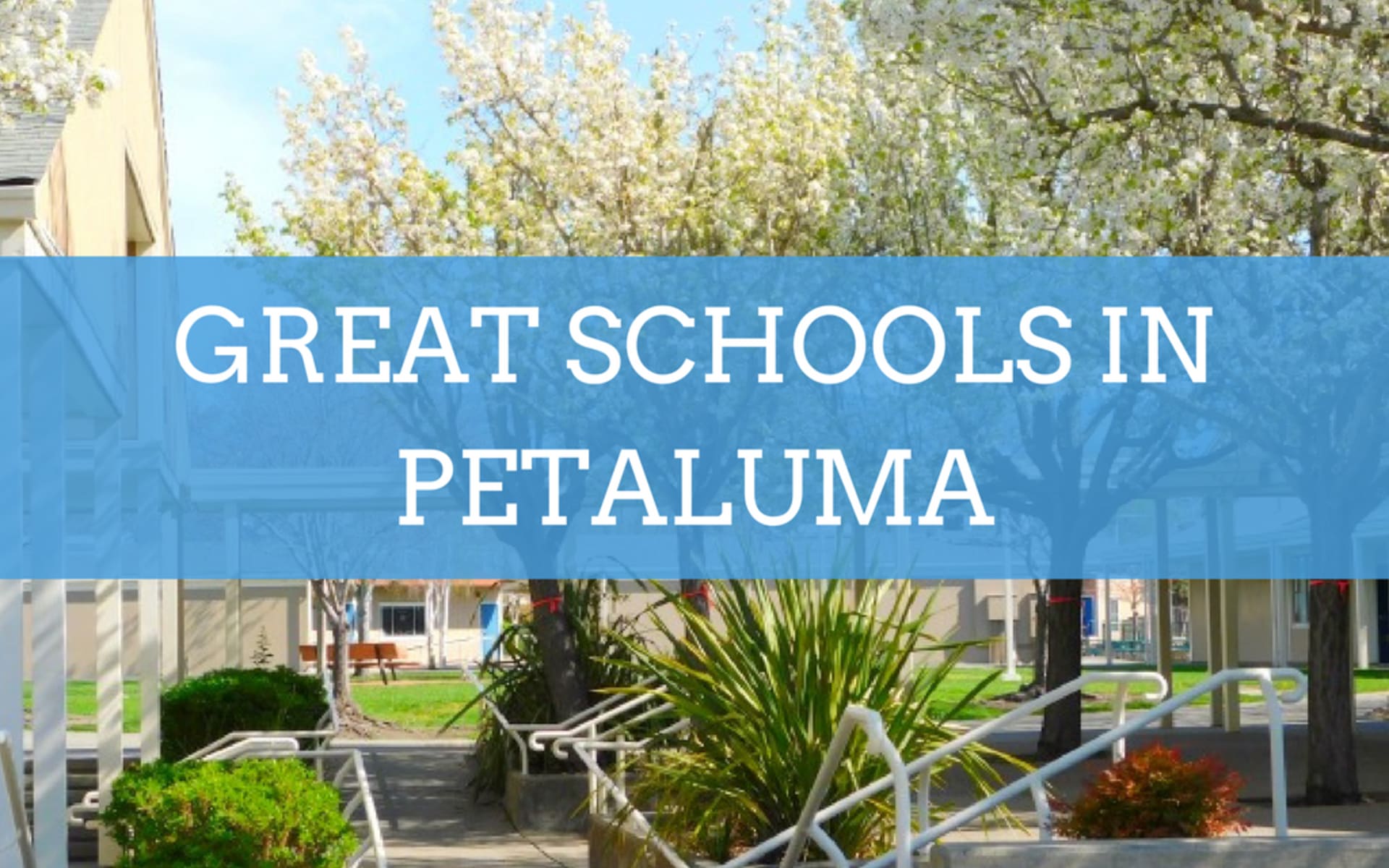 Petaluma Has Some Great Schools