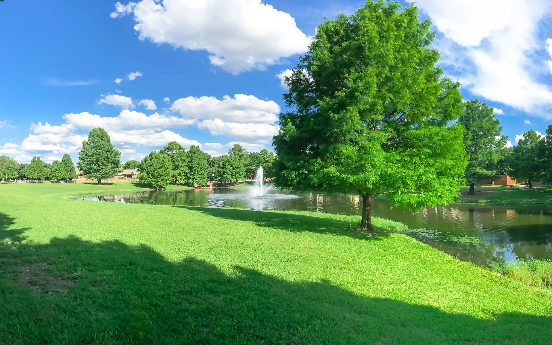 Forest Hills Community Guide The Travelstead Property Group