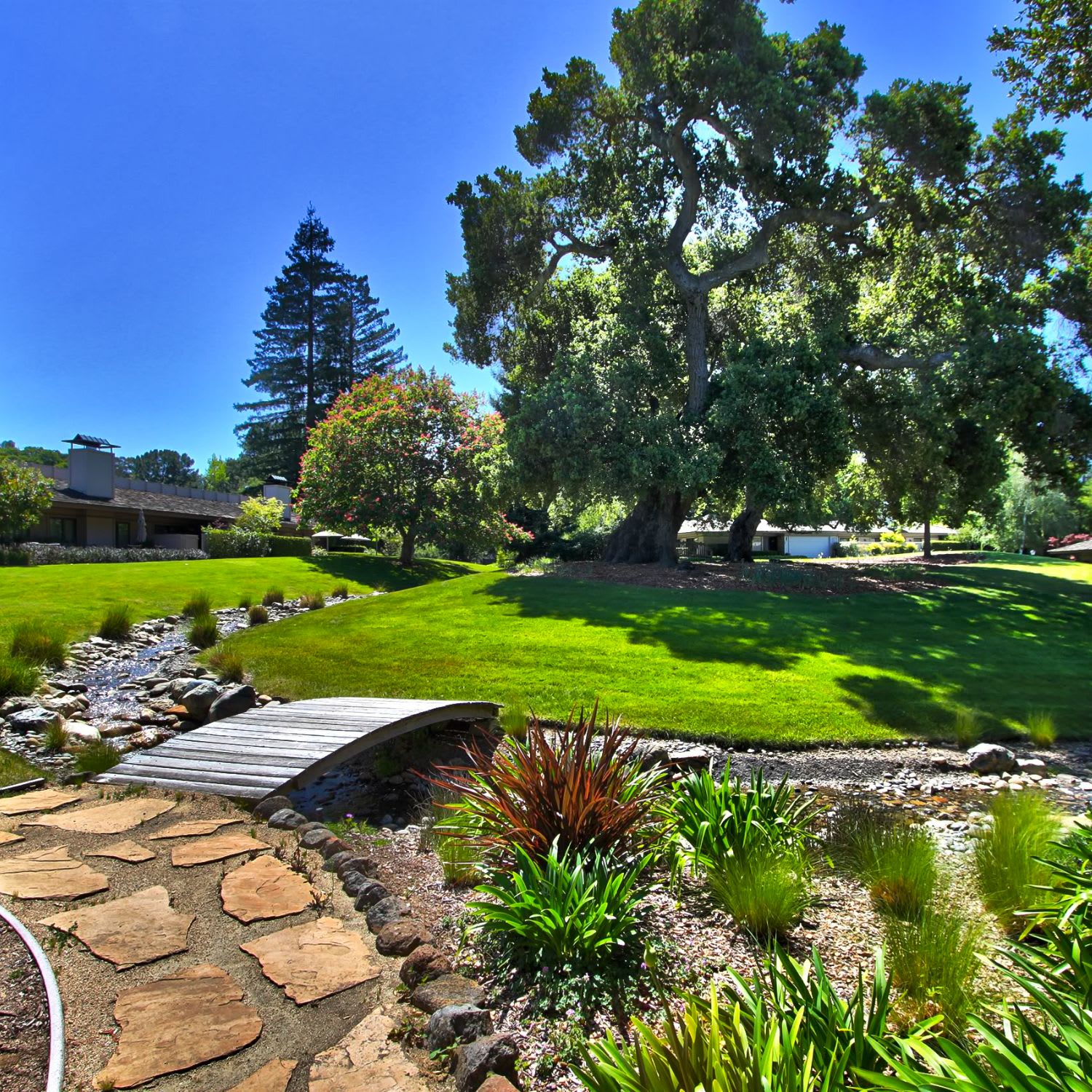 Creekside Oaks Kristi Foxgrover Los Altos Real Estate Agent