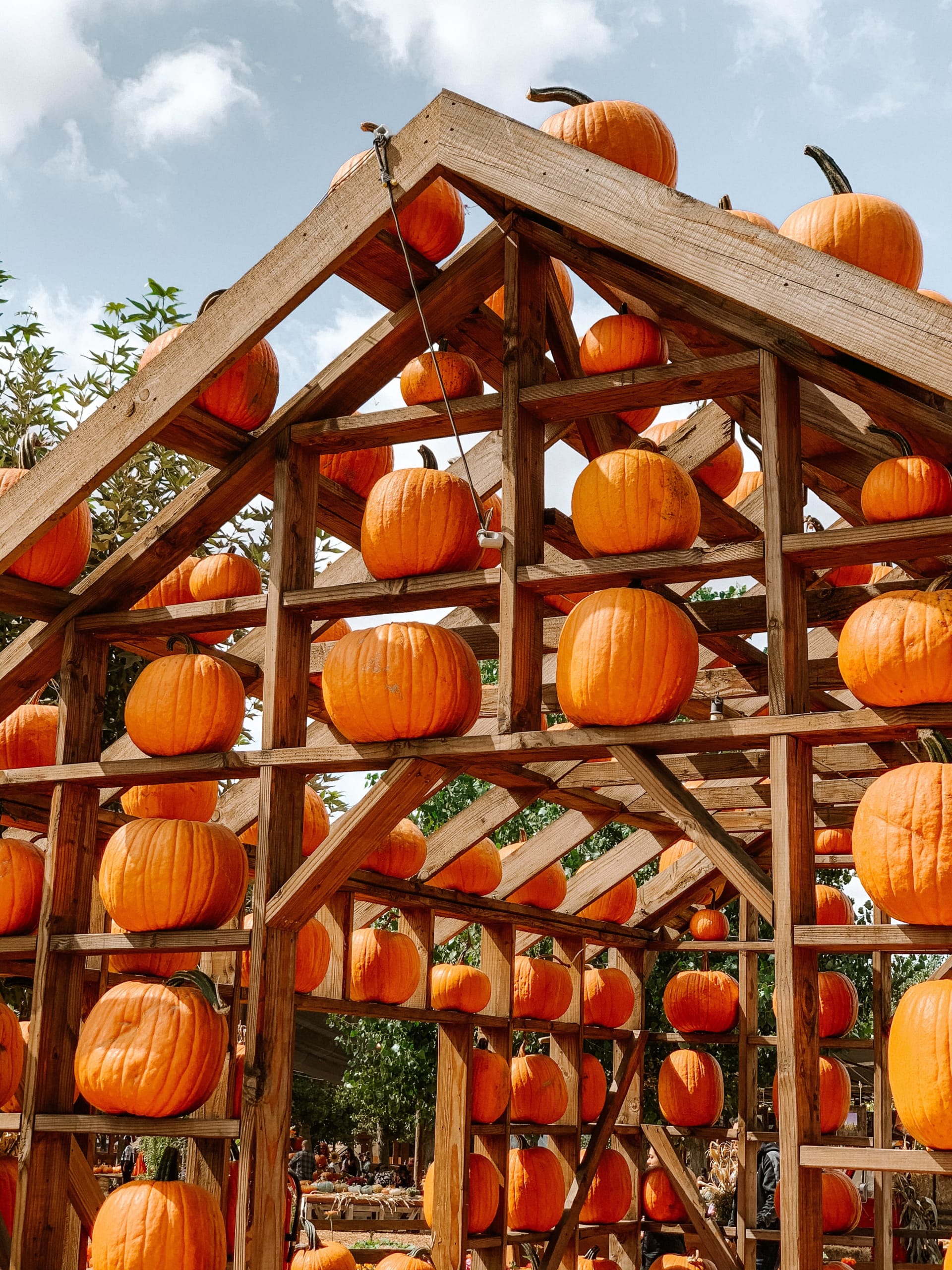 Top 5 Spots for Fall Festivals and Fun in and Around Austin