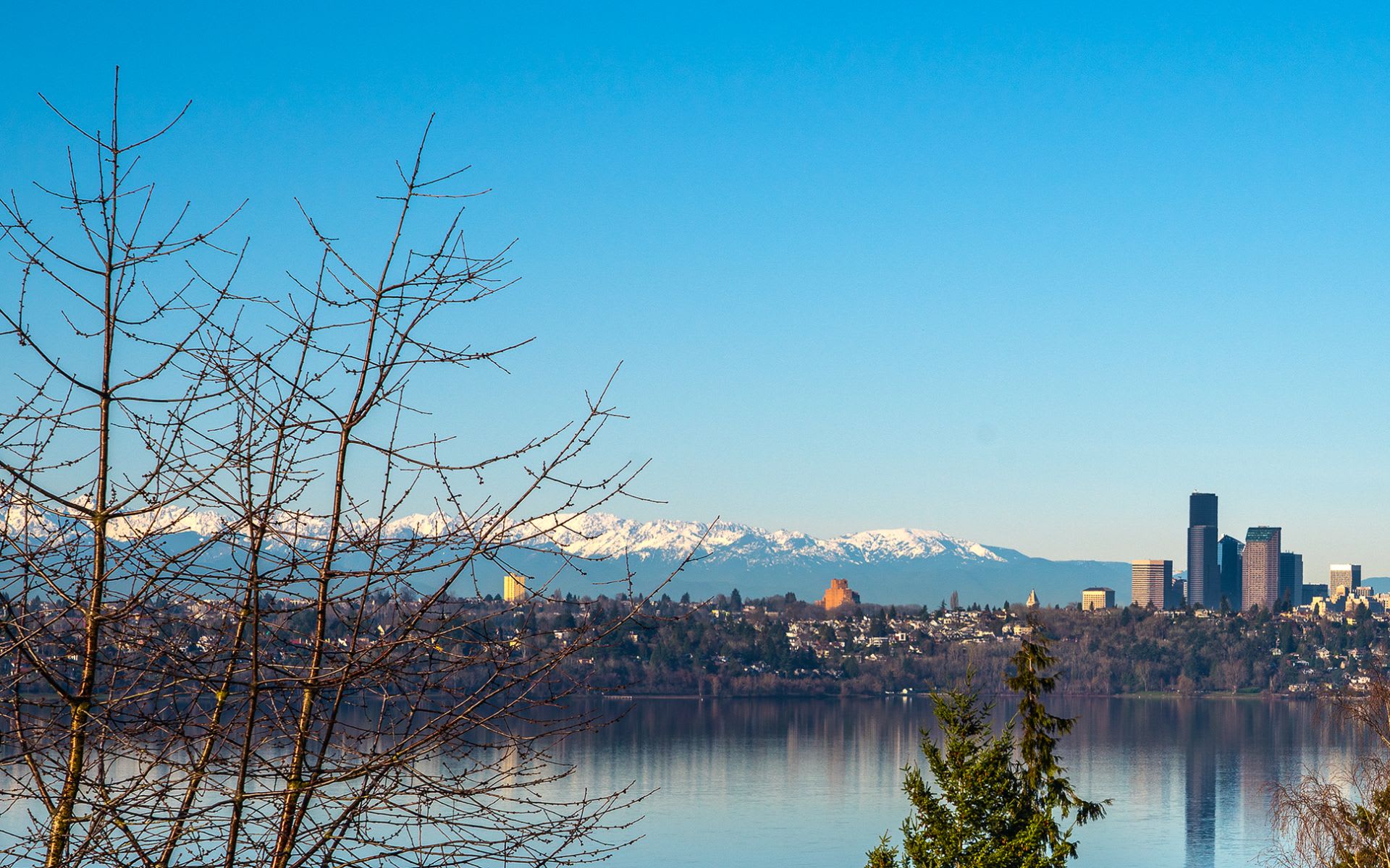 Mercer Island Living