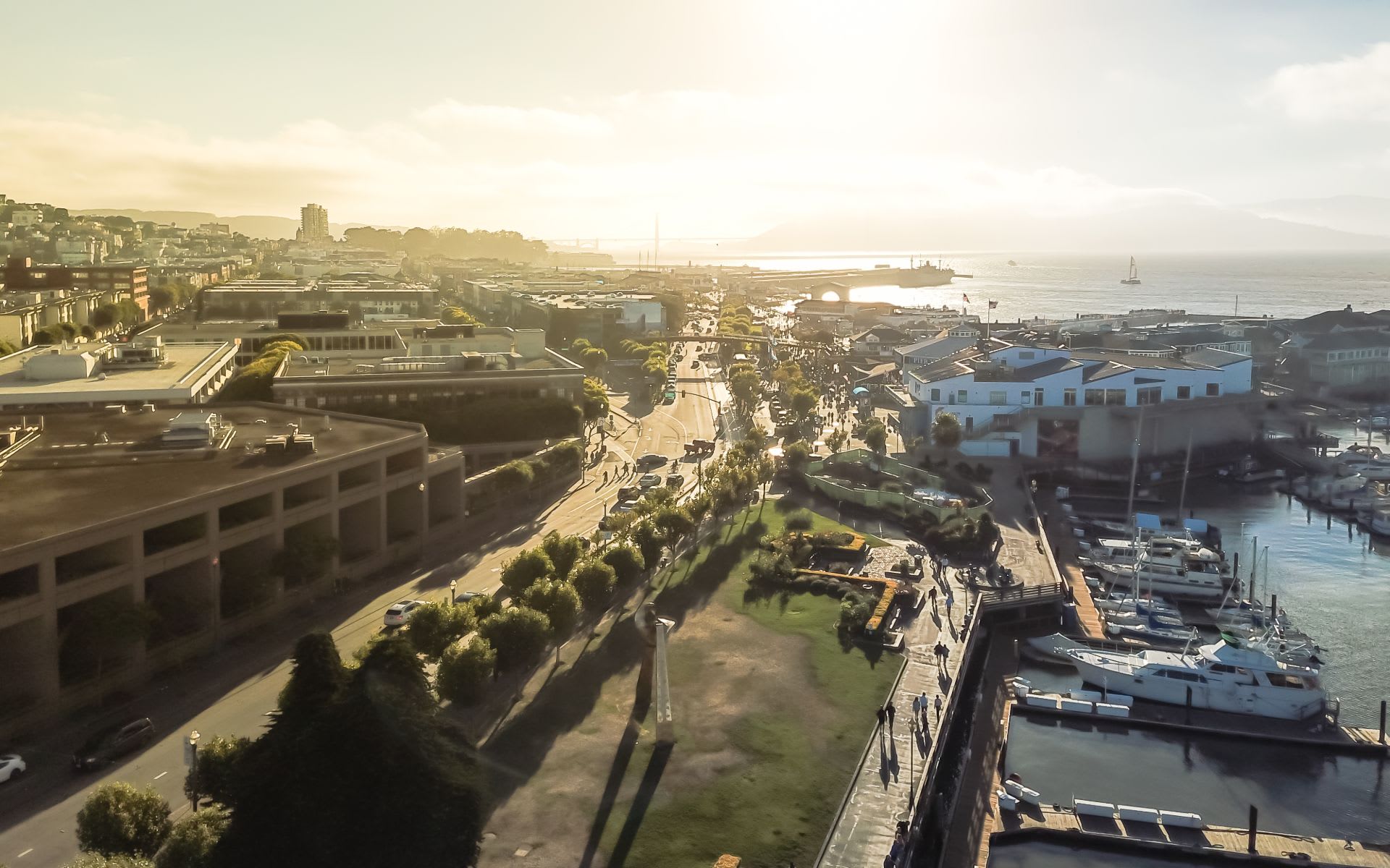 Cow Hollow Community Guide Craig Epstein