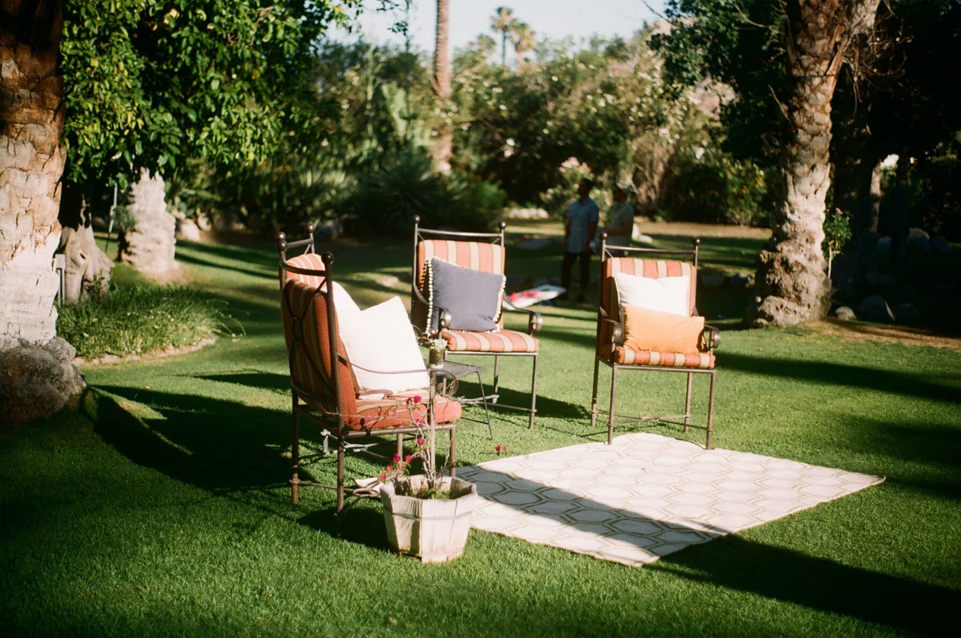 Backyard Oasis