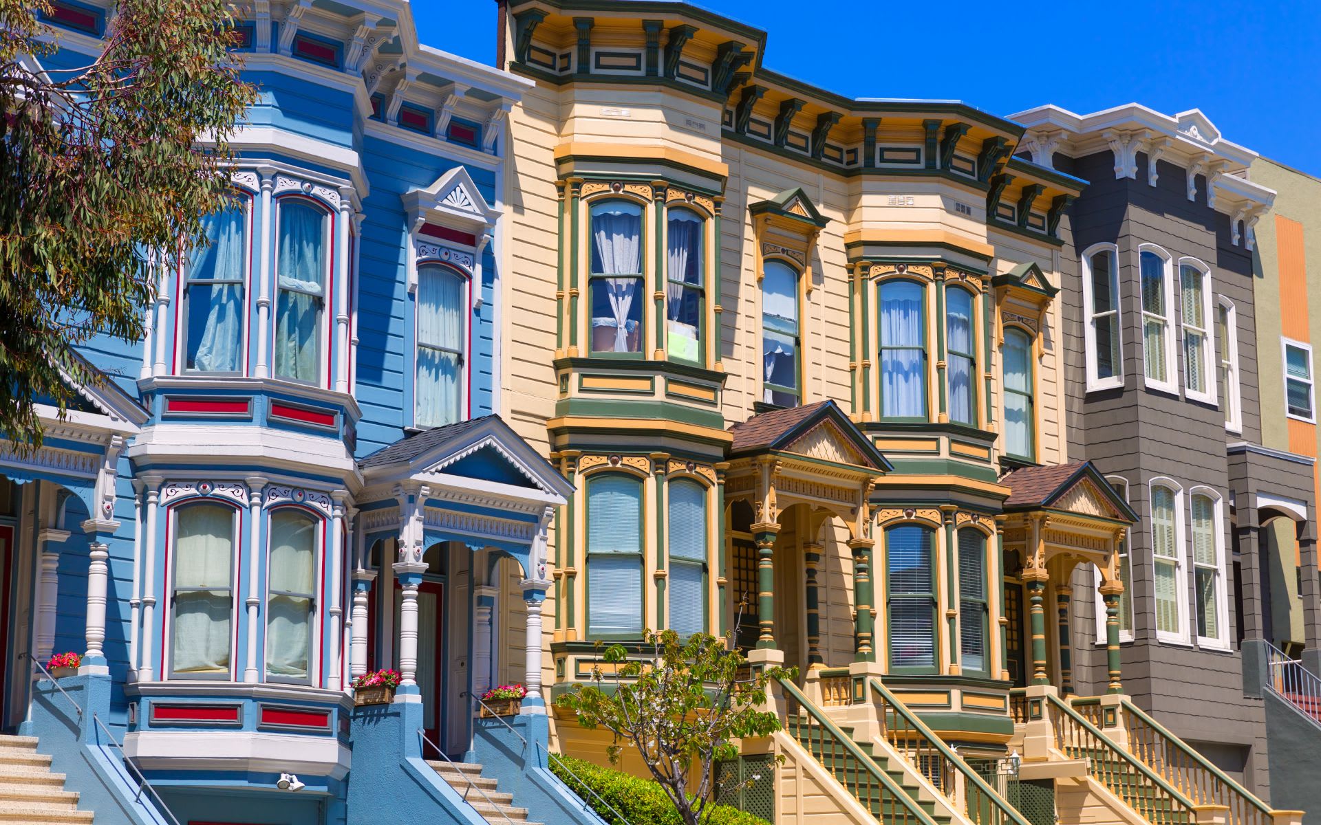 Pacific Heights Neighborhood Guide Zinchik Brothers