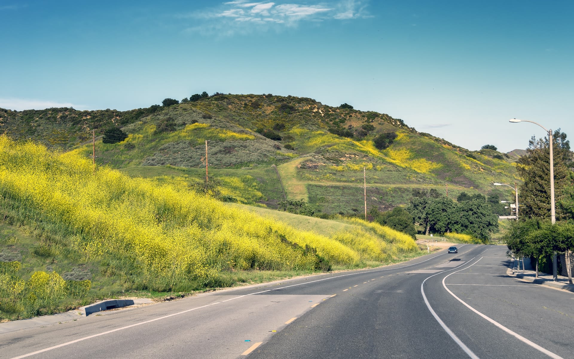 Agoura Hills Real Estate