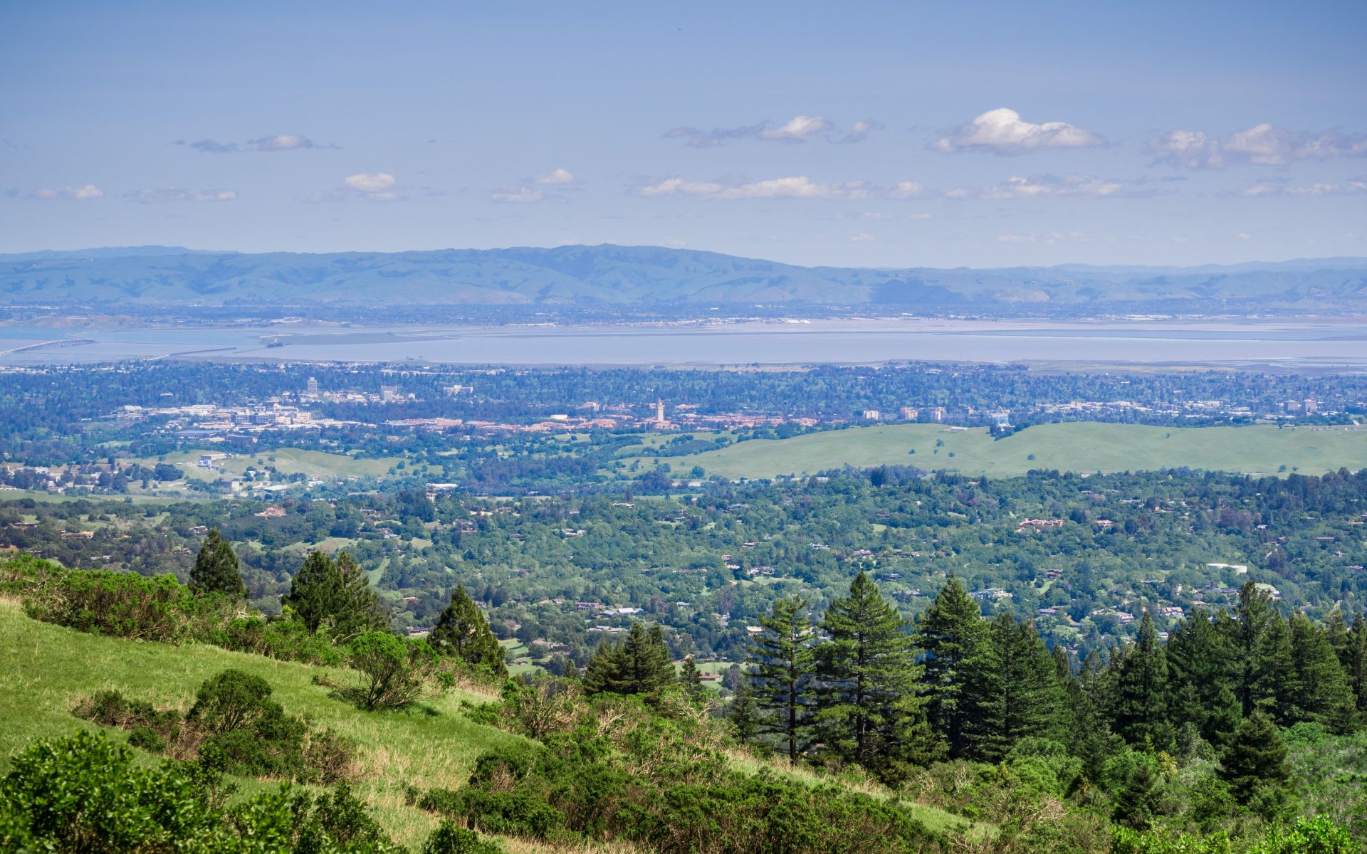 Menlo Park Neighborhood Guide Michelle Carey