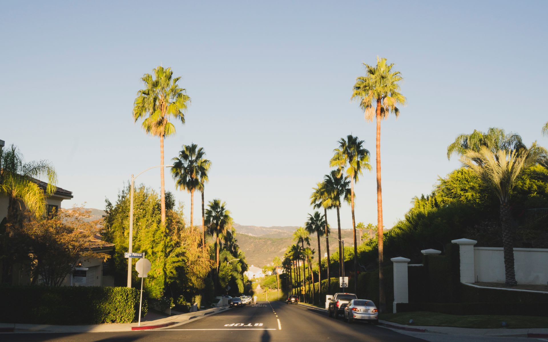 Pacific Palisades | Community Guide | Whit Prouty