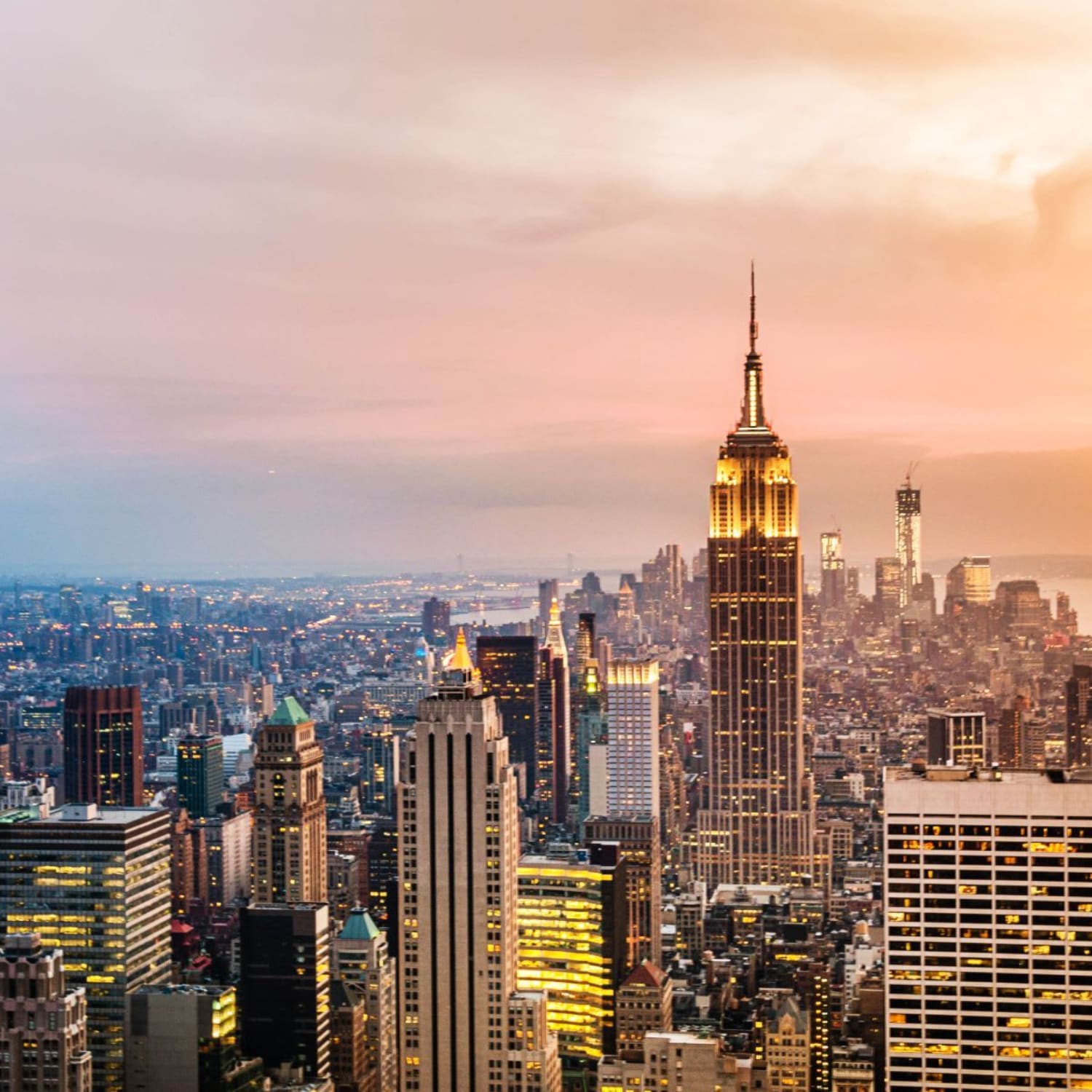 Midwood Brooklyn Community Guide Eli Levi