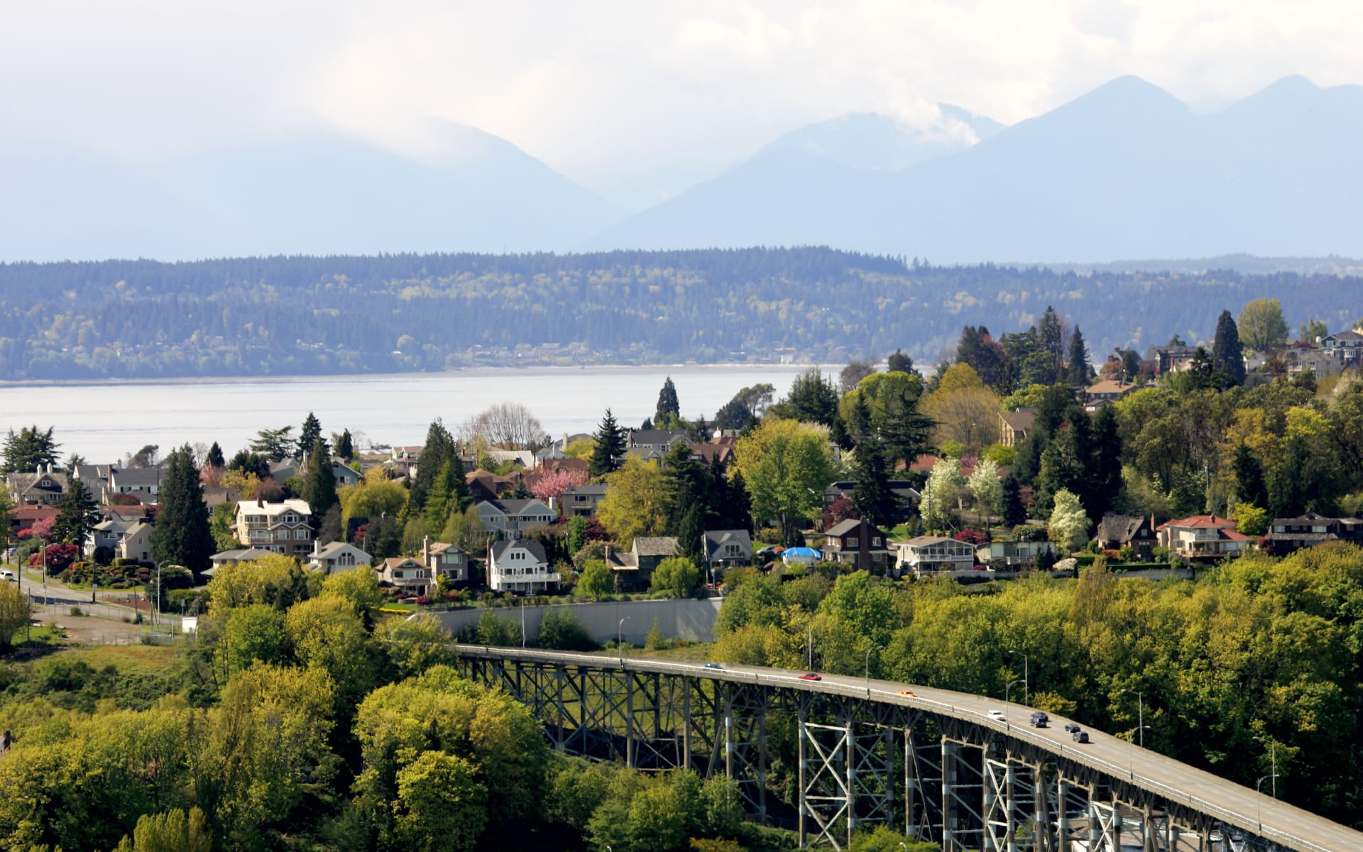 Sammamish  Community Guide  Eric Reese