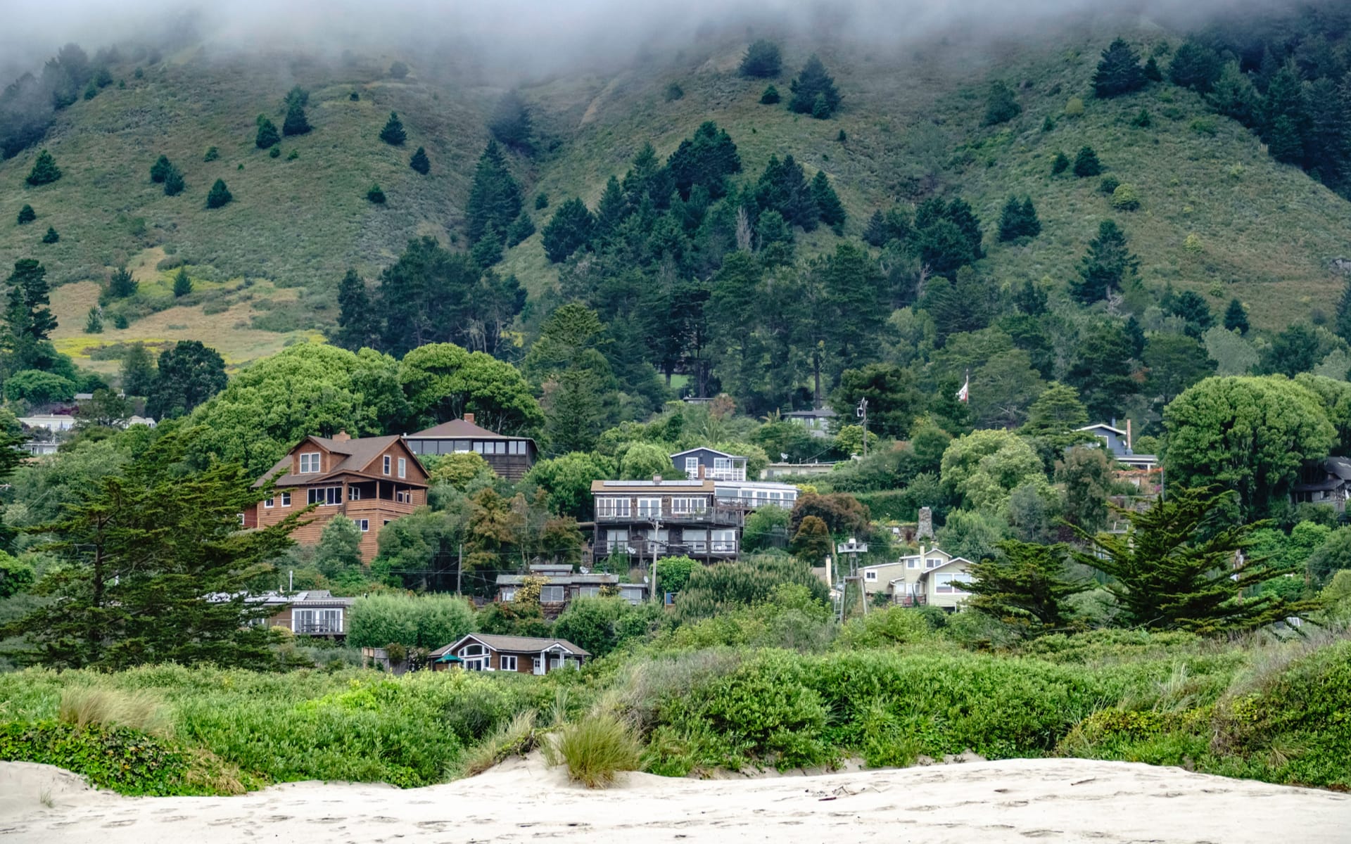 Marin County Real Estate Community Guide Tamara Goldman