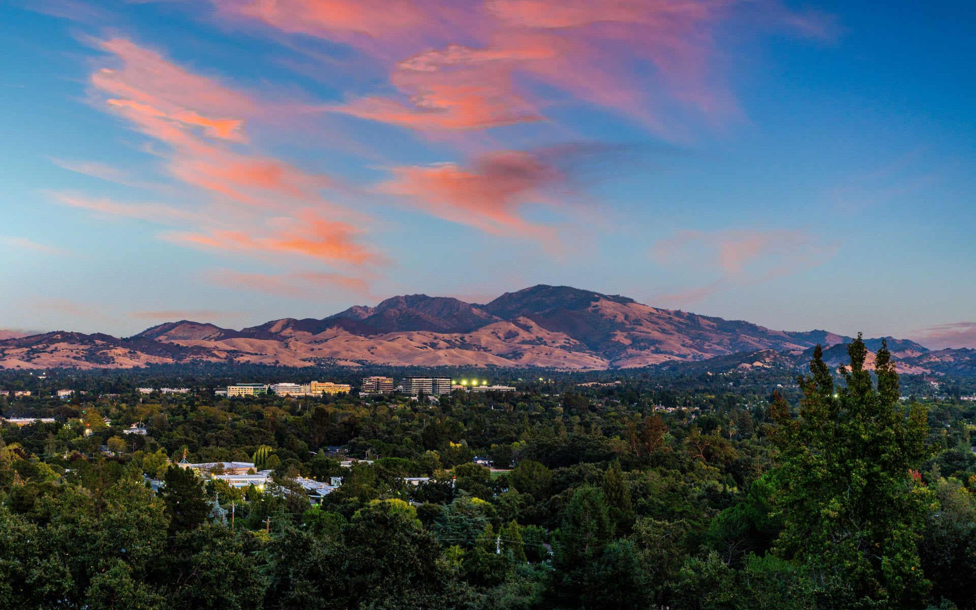 Walnut Creek Events 2025 Zara P. Boucicault