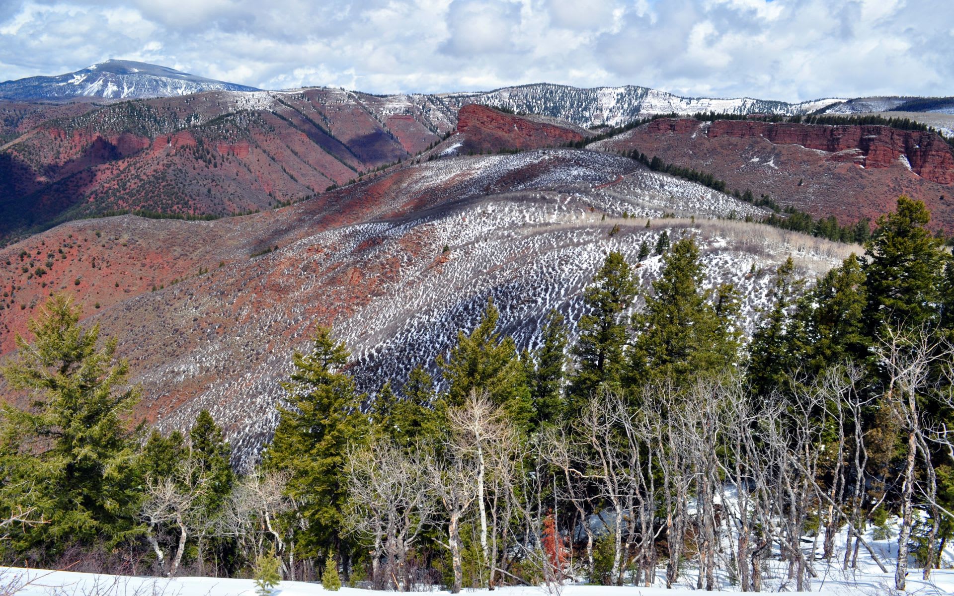 woody-creek-community-guide-steven-shane