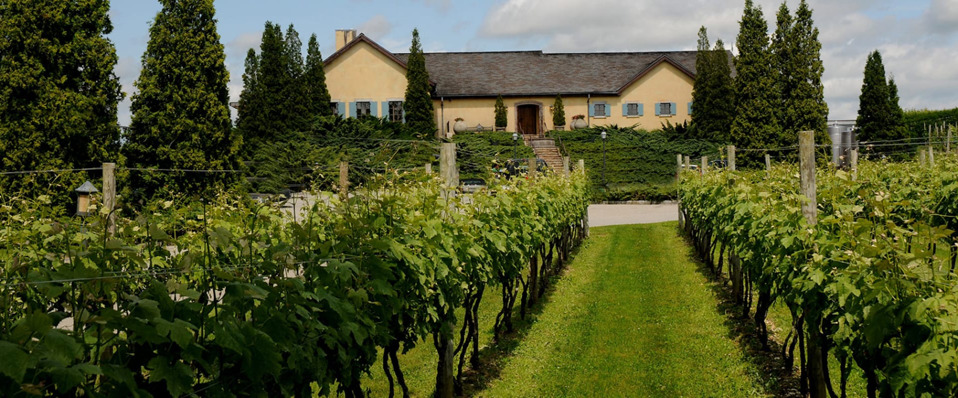 6 Best Wineries in the Hamptons