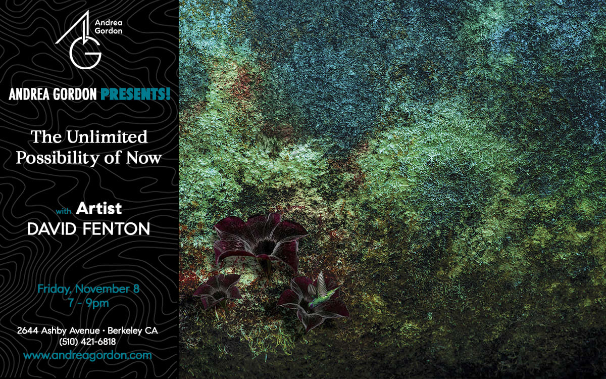 David Fenton, Artist