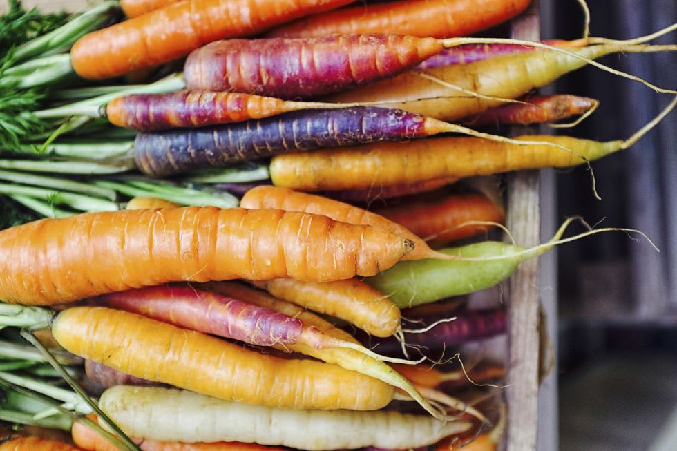 A pile of freshly harvested carrots in orange, purple, yellow, and white, with green tops.