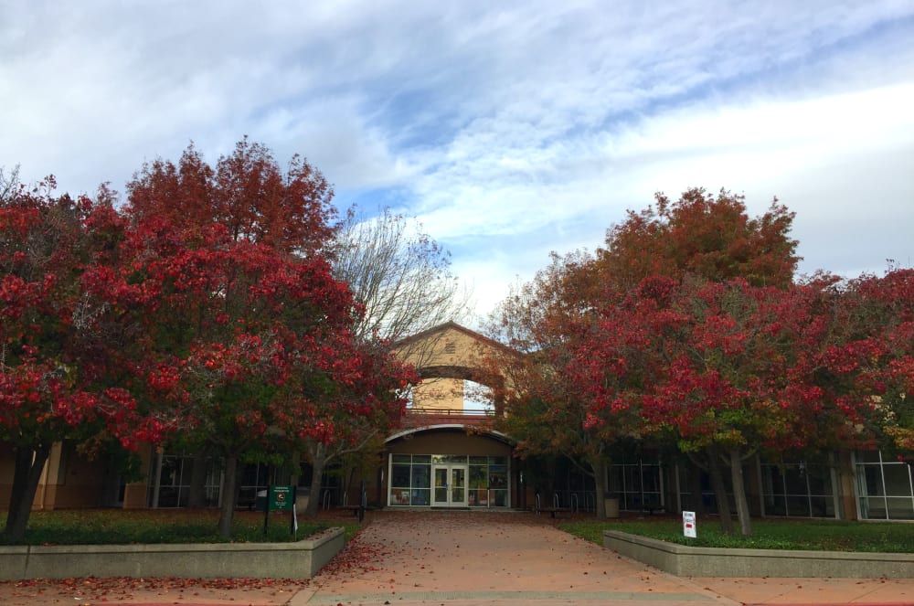 Petaluma Has Some Great Schools Blog Rick Warner Real Estate