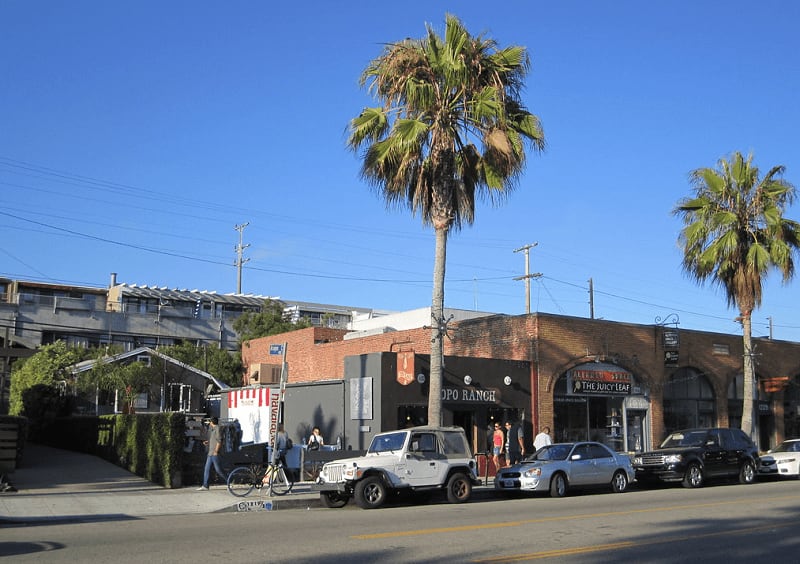 Flip Through Pages at Small World Books
