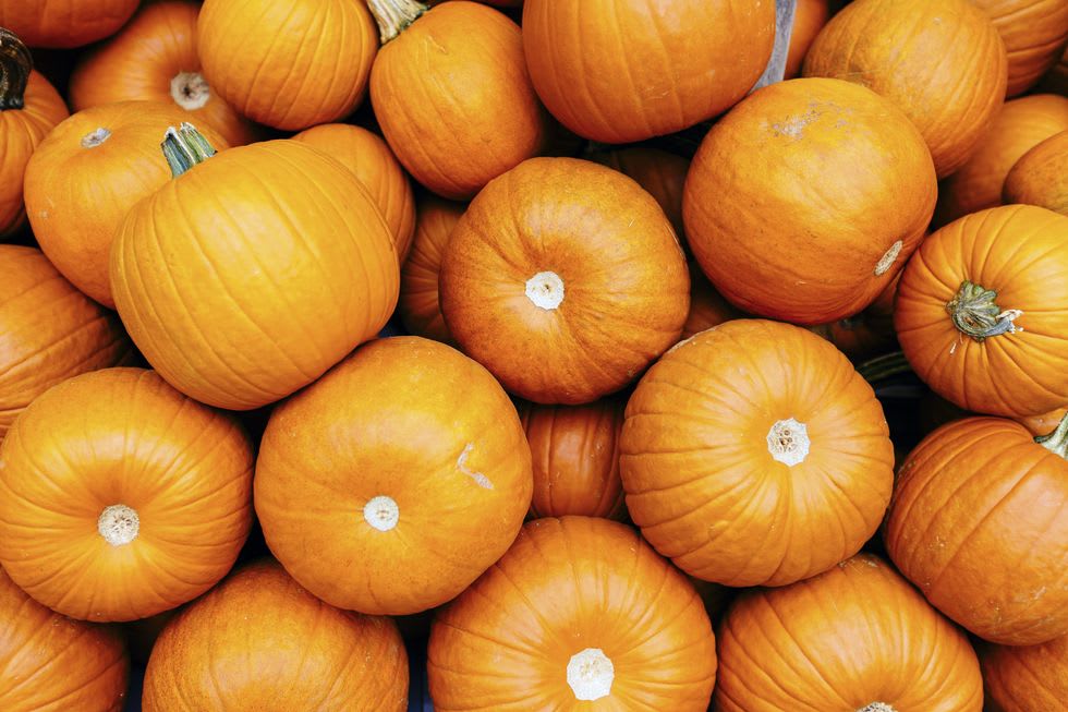 A pile of orange pumpkins with ribbed skins and pale stems.