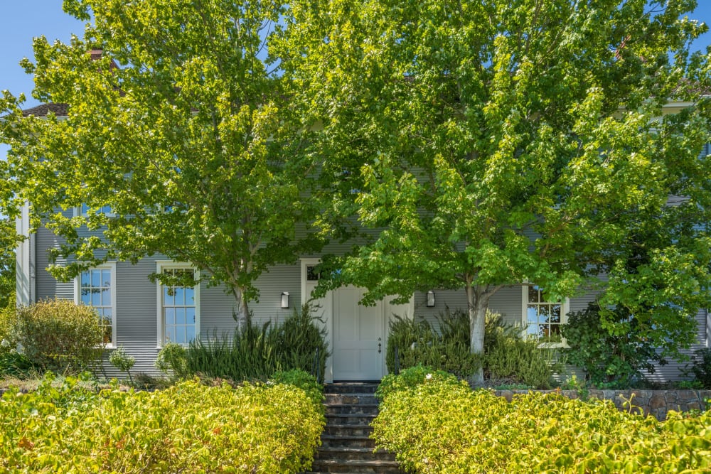 SOLD Oak Knoll Vineyard Estate