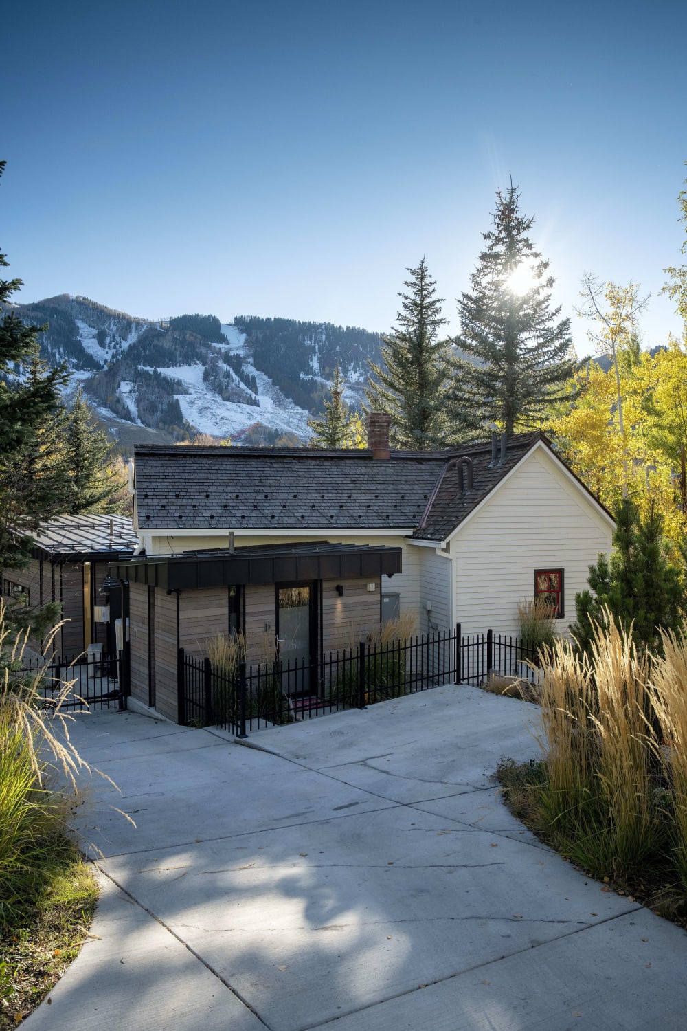 Aspen Real Estate Agent Carrie Wells Colorado Luxury Realtor