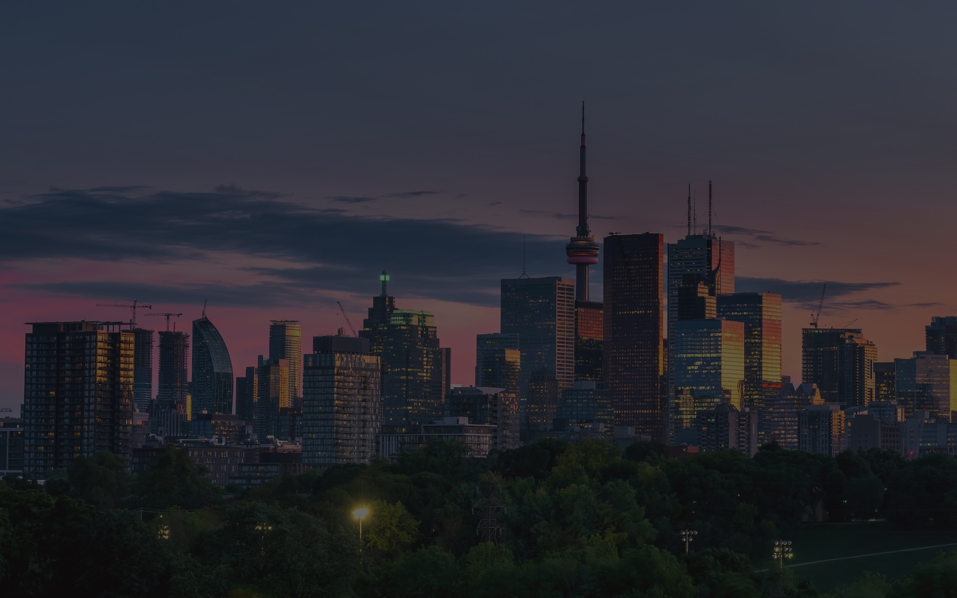 Barry Cohen Homes Leading Toronto Luxury Real Estate Agent