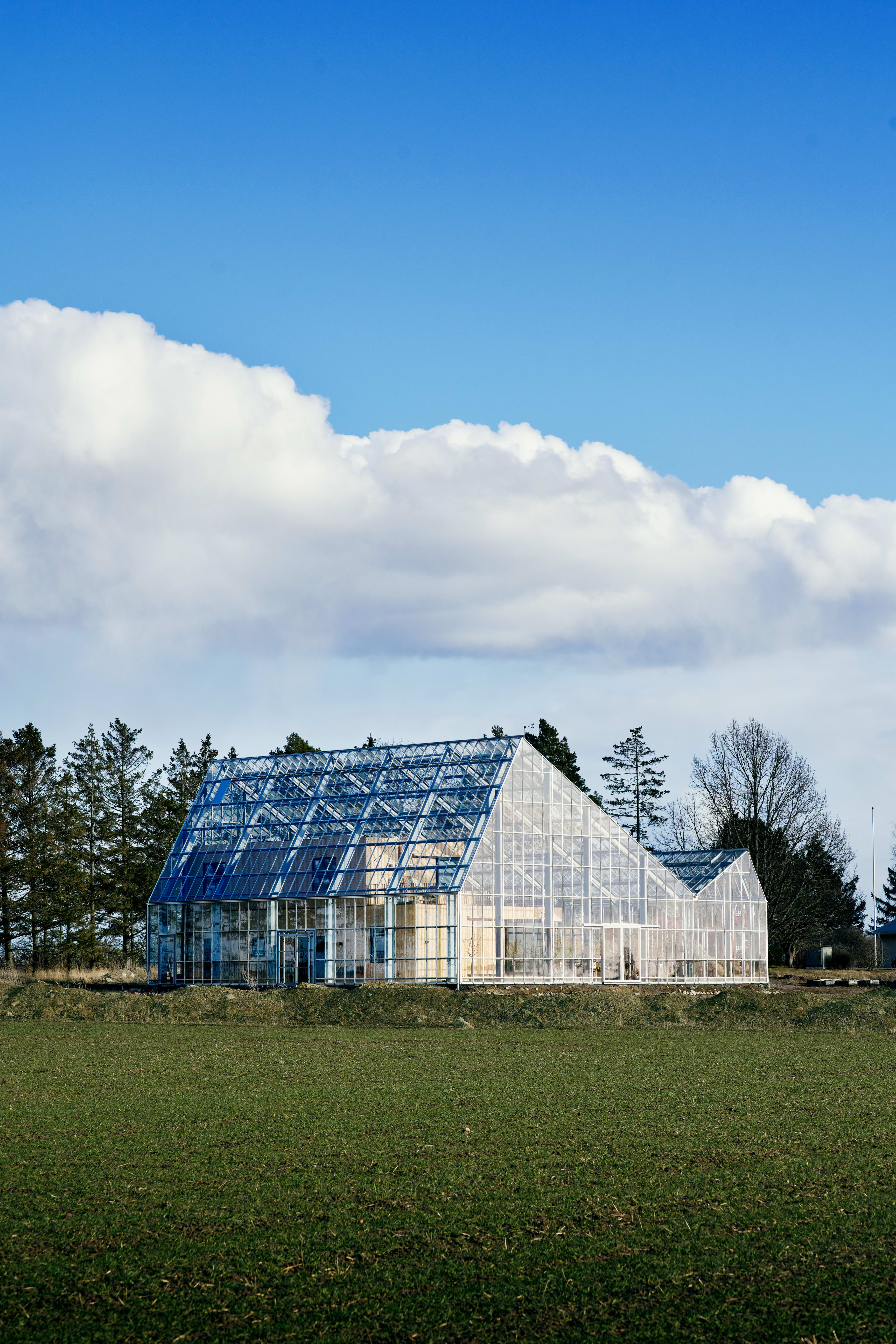 Automated glass panels in the roof open and close to regulate the temperature inside the greenhouse and core home and protect against common garden pests, heavy wind, and snow. "The glass is UV-protected, so you don’t have to worry about burning," Roja says. 