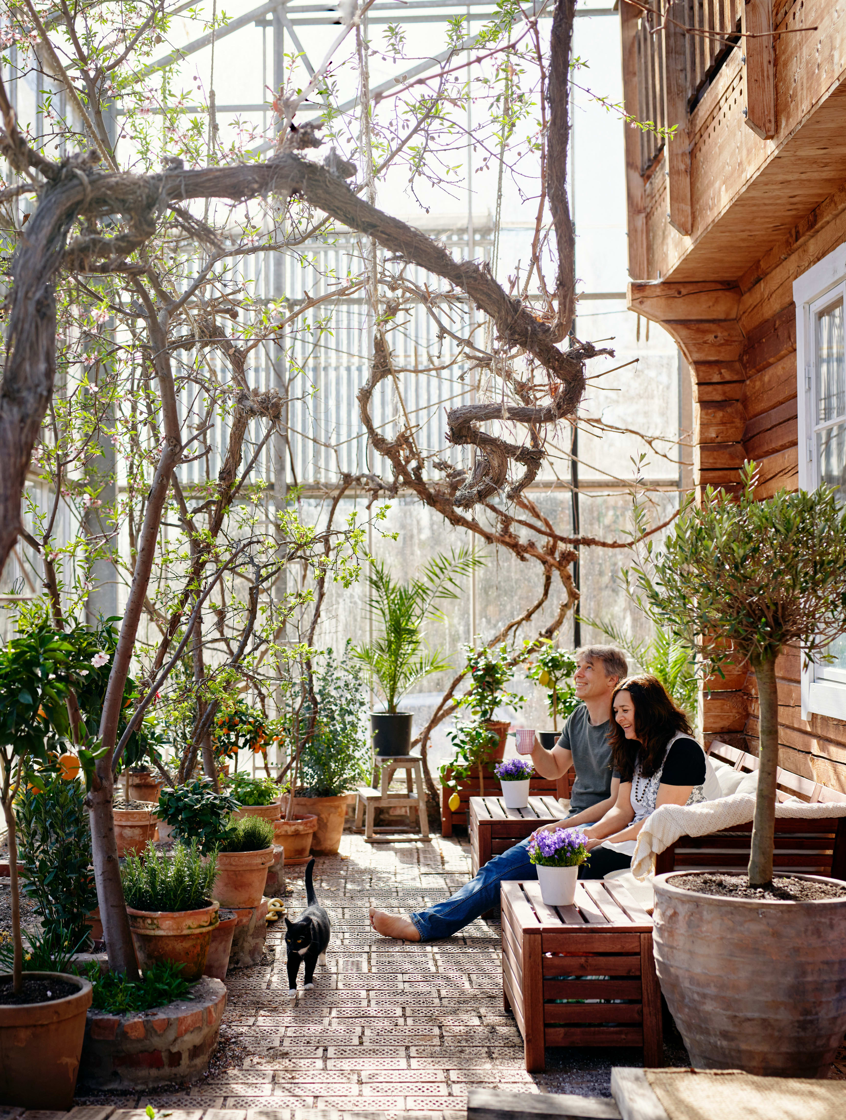 The wood inside was harvested from the local forest. Anders’s favorite spot in the home is the sofa situated under an almond tree in the greenhouse. 