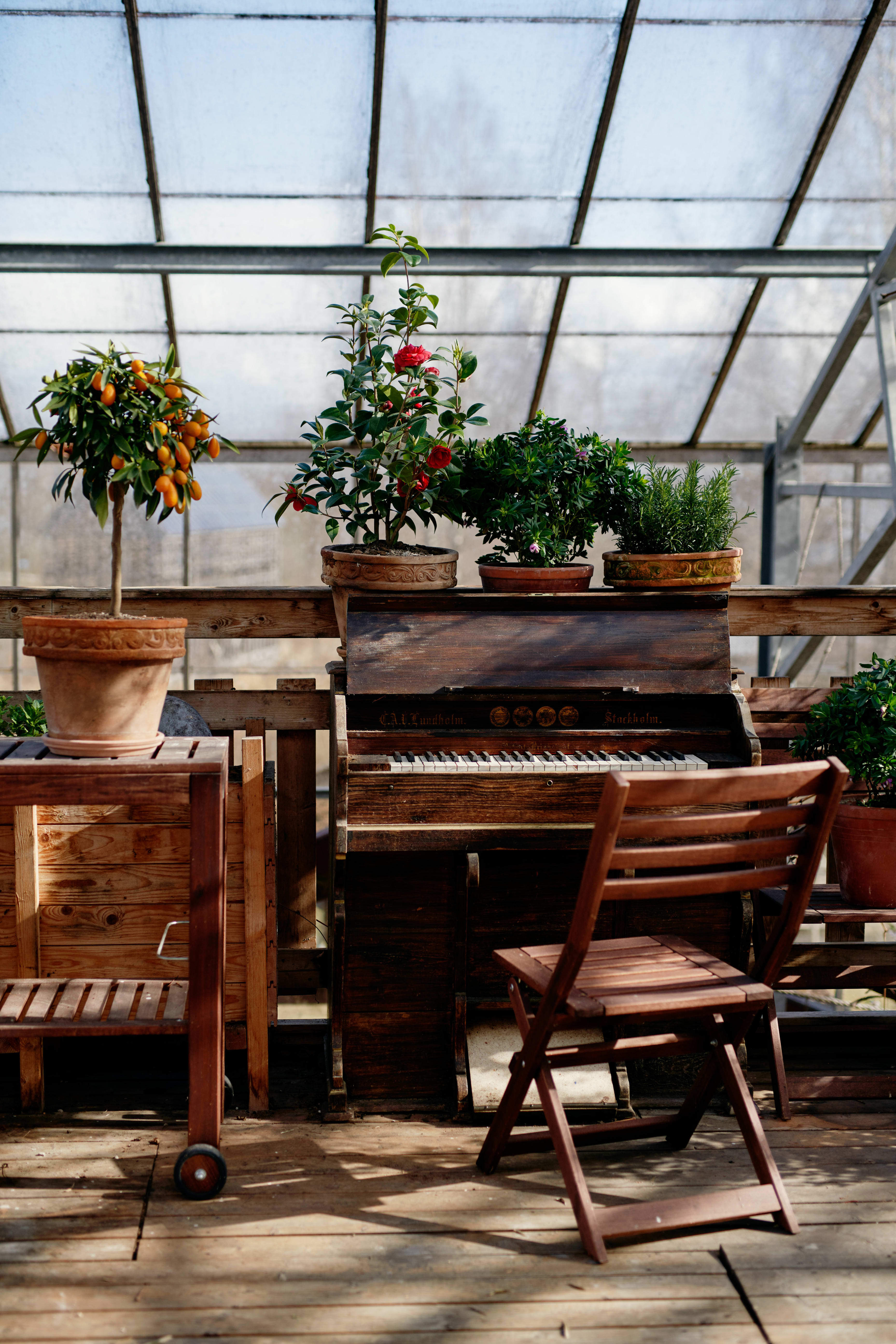 How Sweden Became the Surprising Center of the Greenhouse Home Movement - Photo 8 of 14 - 