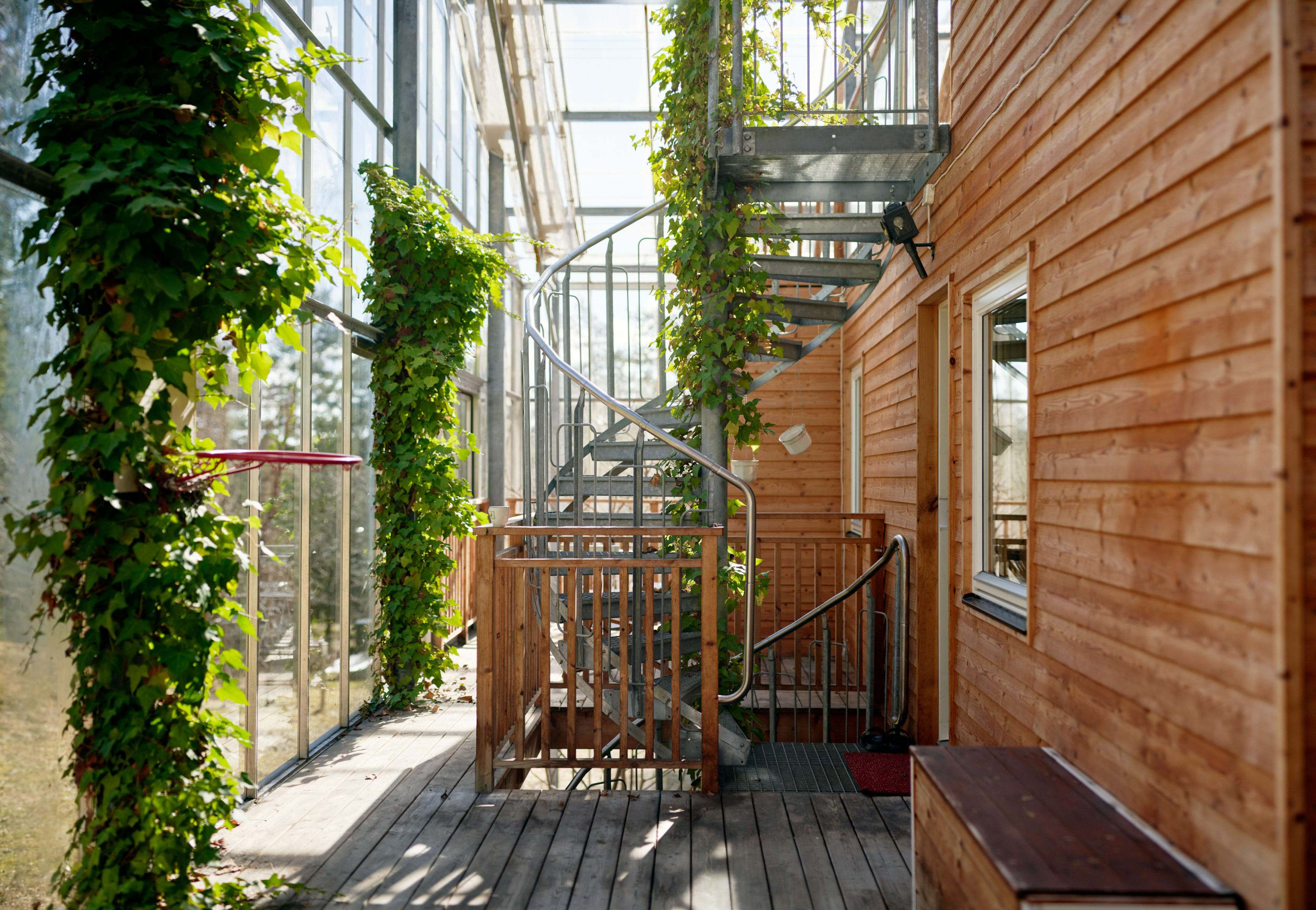 Grapevines grow over the spiral staircase that leads to the roof terrace. 