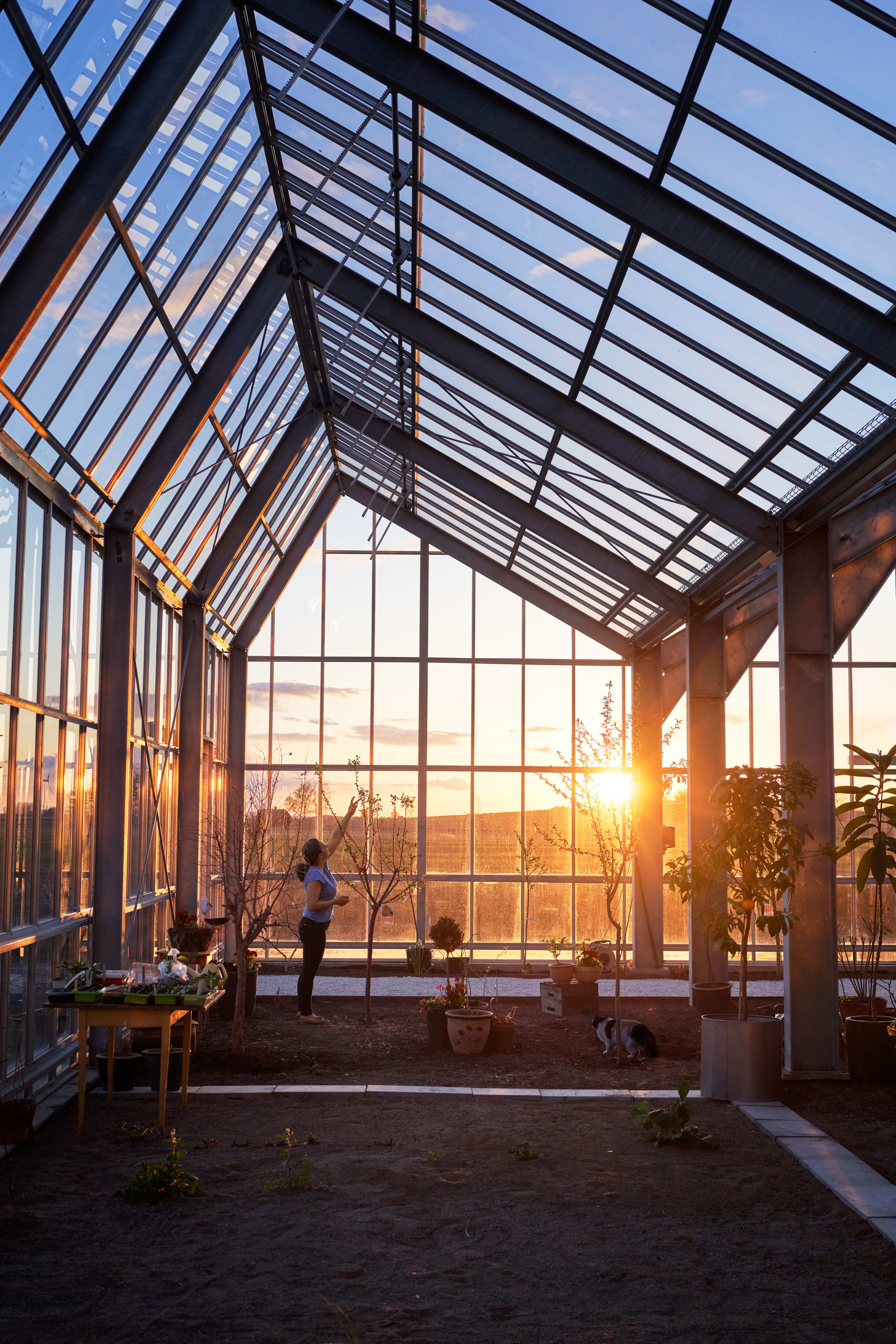 A look back at the garden area in Roja and Johan's home. "It feels very calm waking up here. It's just so beautiful. There are no thresholds between inside and out—that's amazing, Roja says.