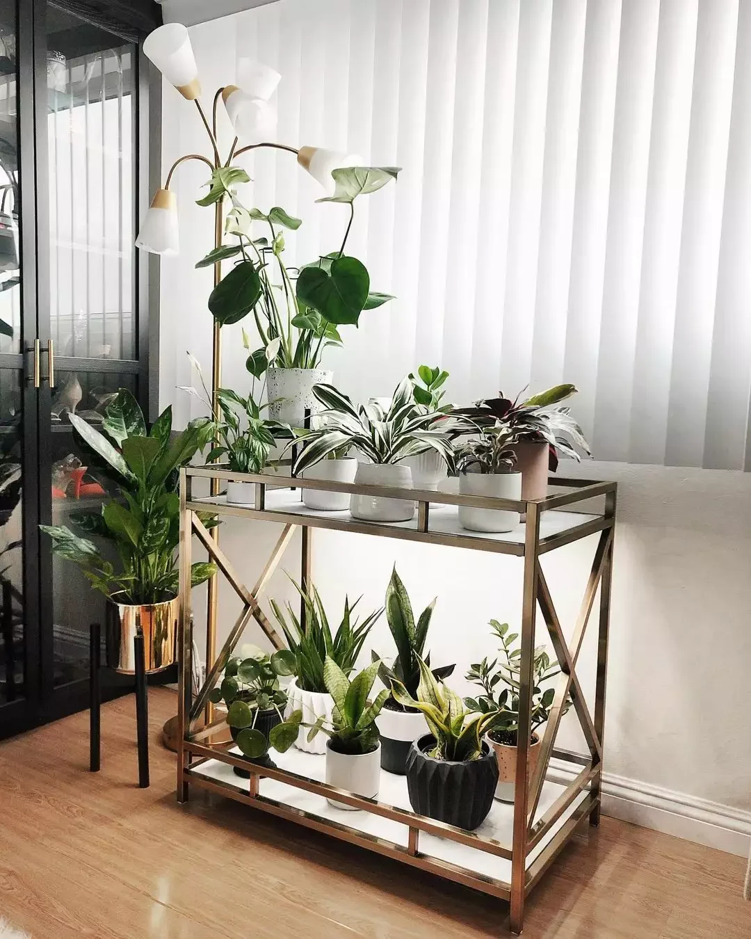 plants on bar cart