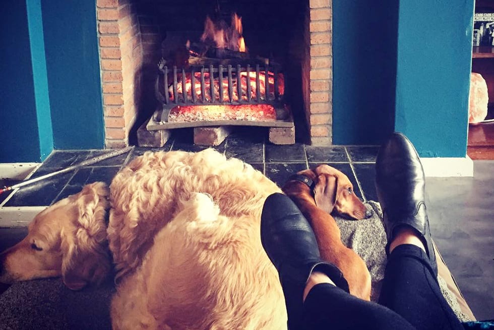 A woman sitting on a couch with two dogs by a fireplace