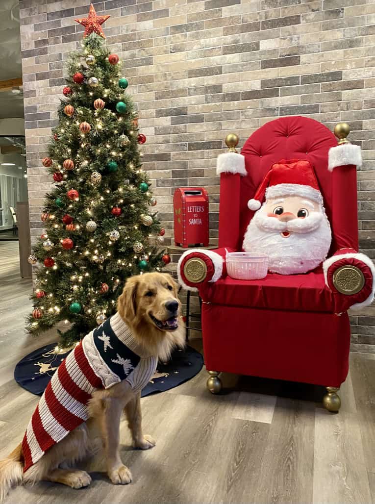 Santa Photo Day